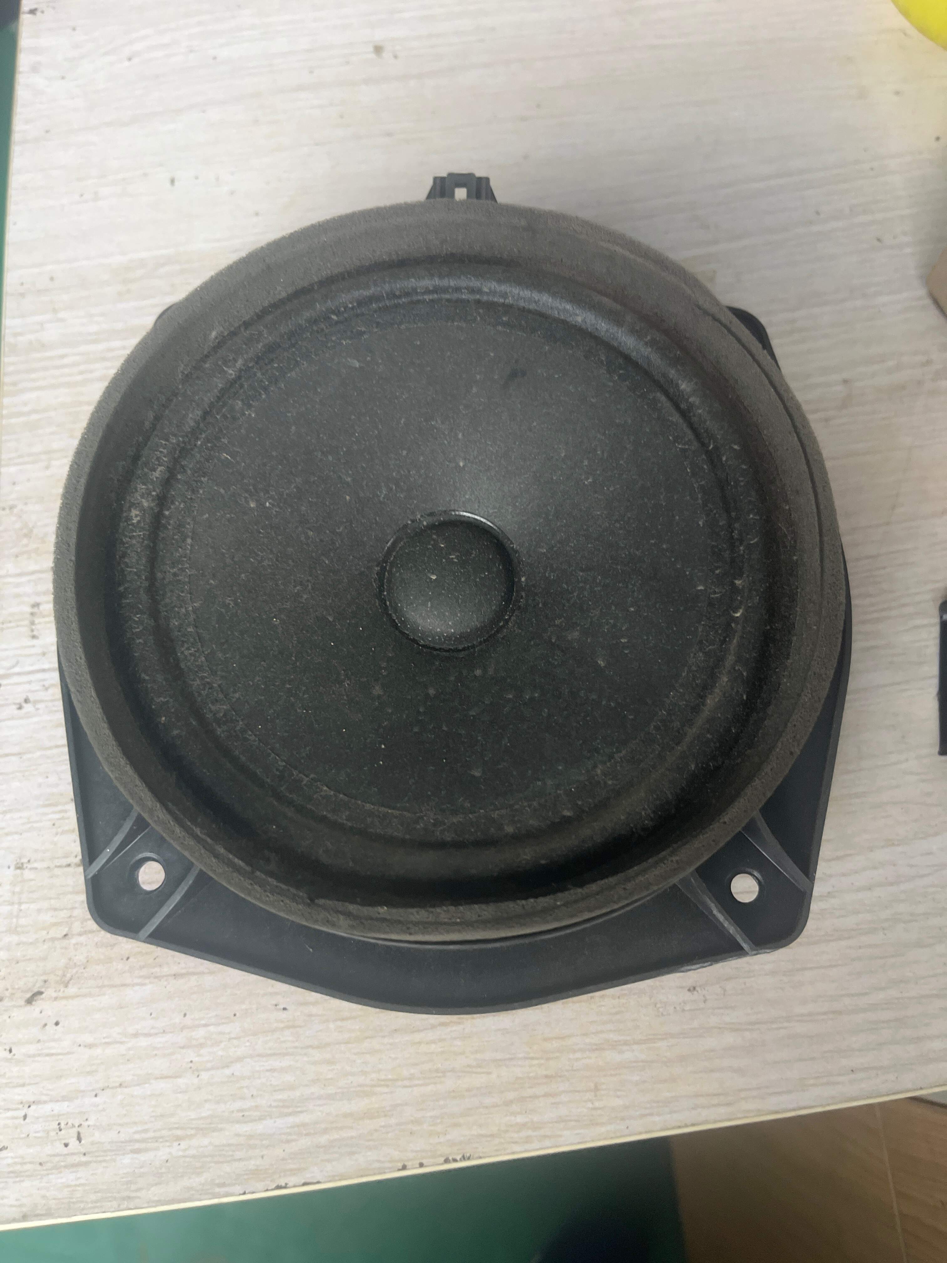 10102589 Door Speaker Assembly, Rear Left