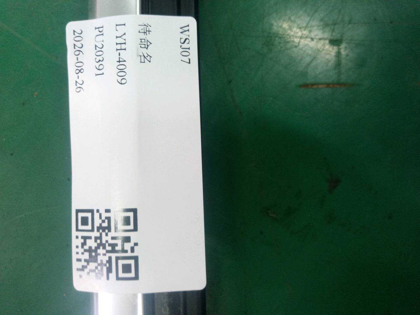 51359451531 后门玻璃压条(左外)