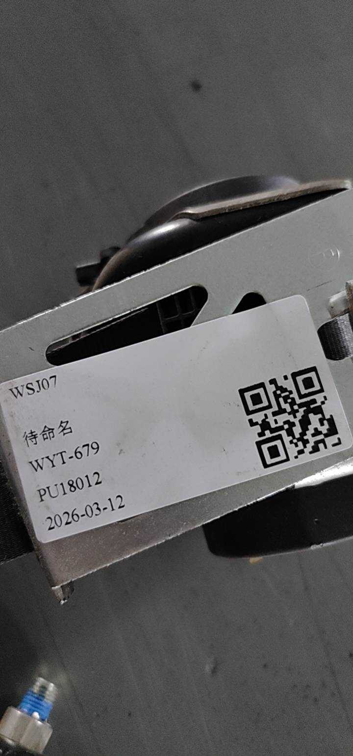 8212020AEY02 安全带右