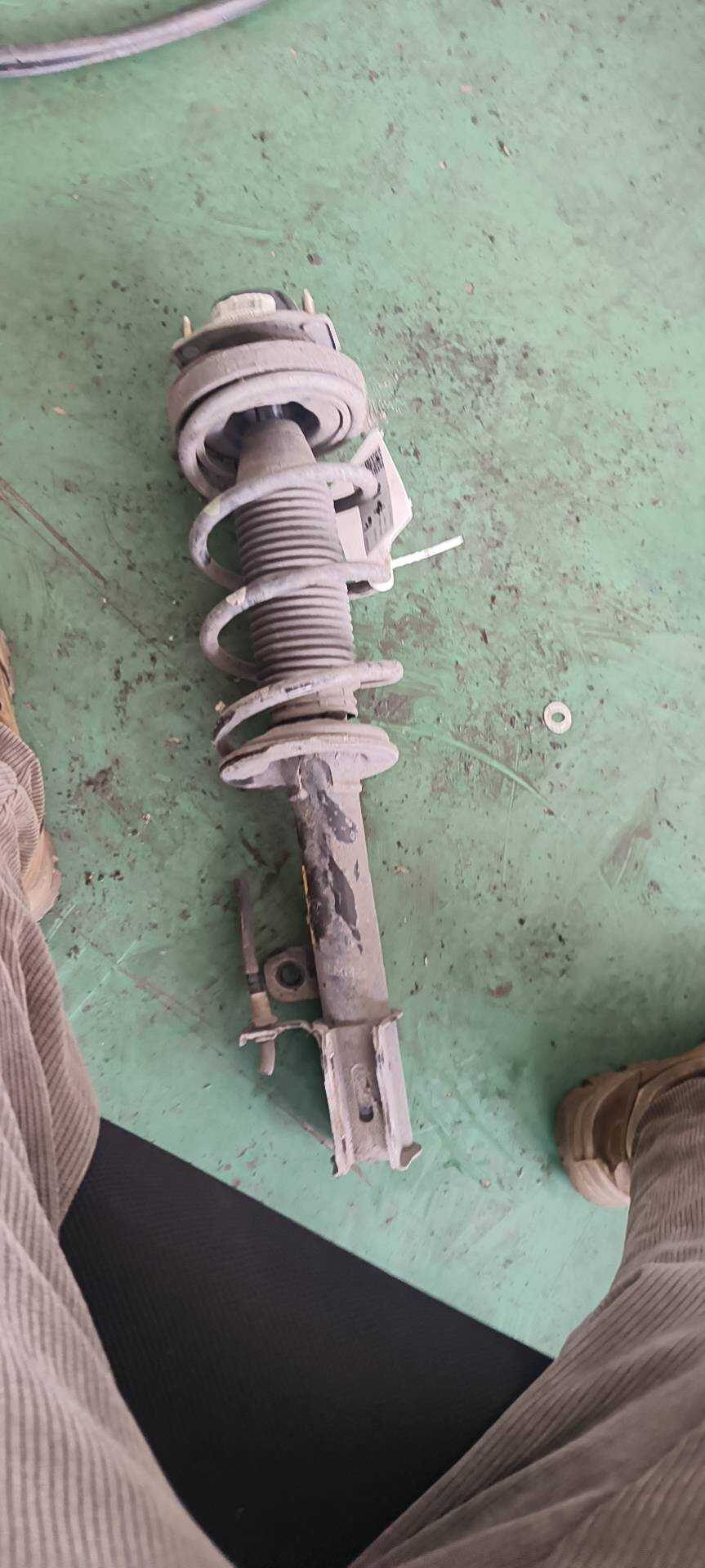 9054213 Rear Shock Absorber Assembly, Right