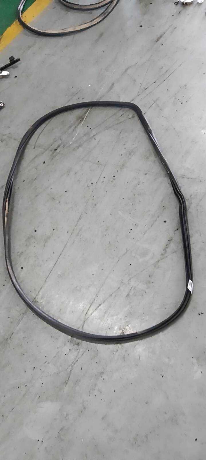 10113143 Rear Door Body Seal Strip, Right