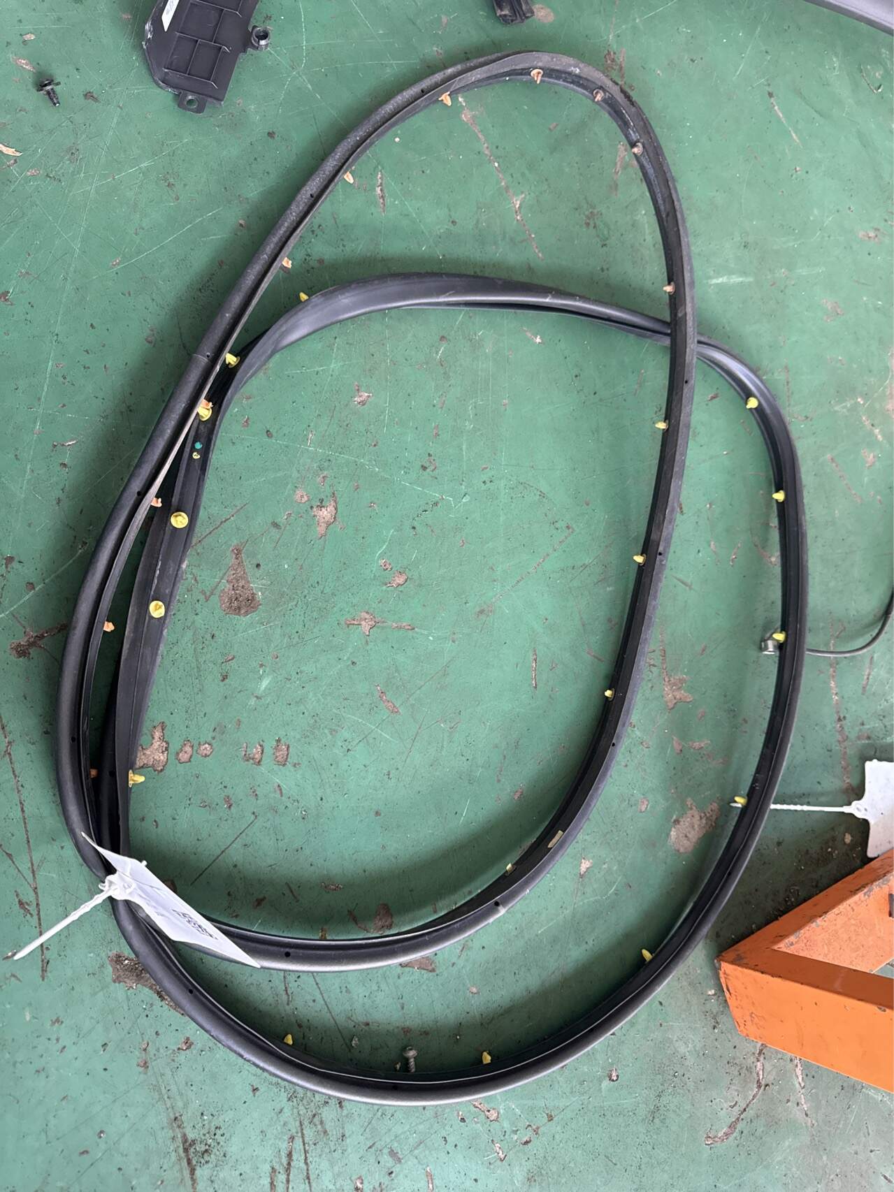 95021341 Front Door Seal Strip, Right