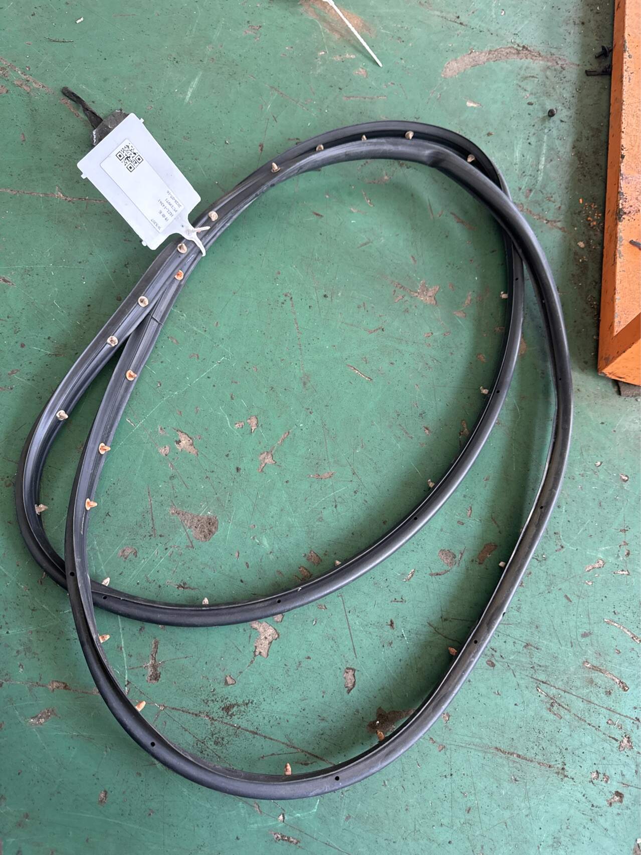 95021342 Rear Door Seal Strip, Left