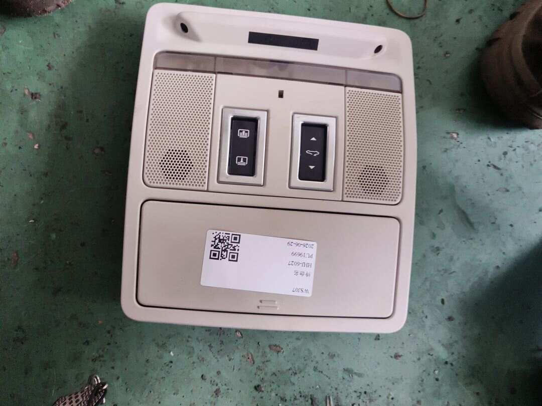 T2H15697LKP 车顶控制台