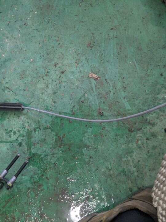 T2H3586 Transmission Wiring Harness Assembly