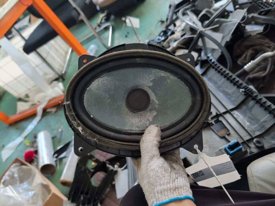 861600WL50 Front Door Speaker, Left