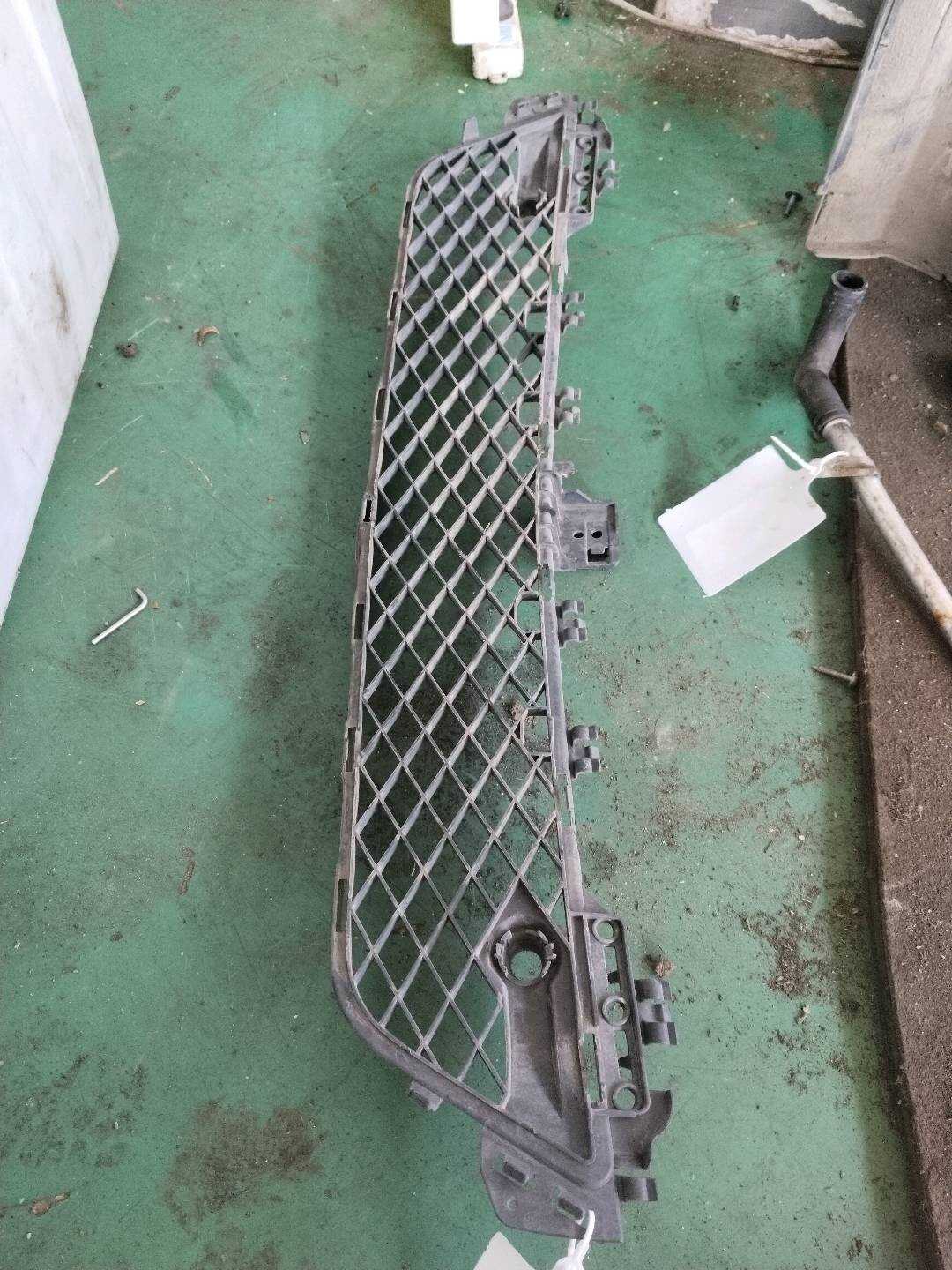 A2048851324 Front Bumper Grille, Lower