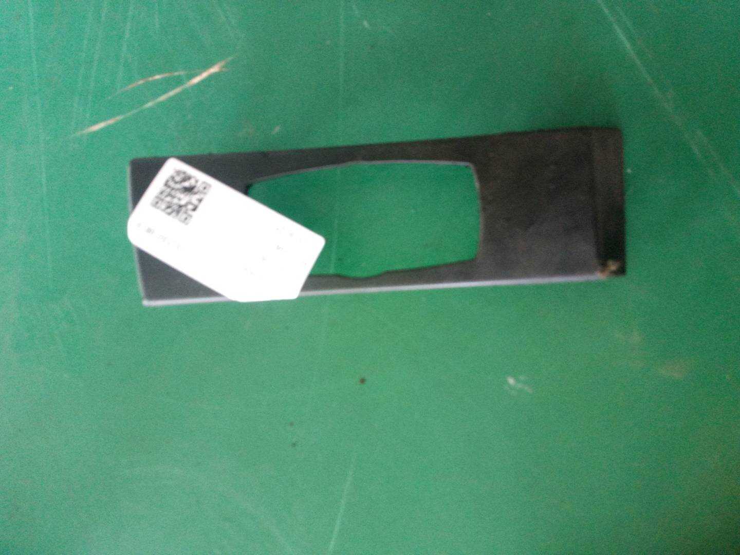 61316979870 Light Switch Trim