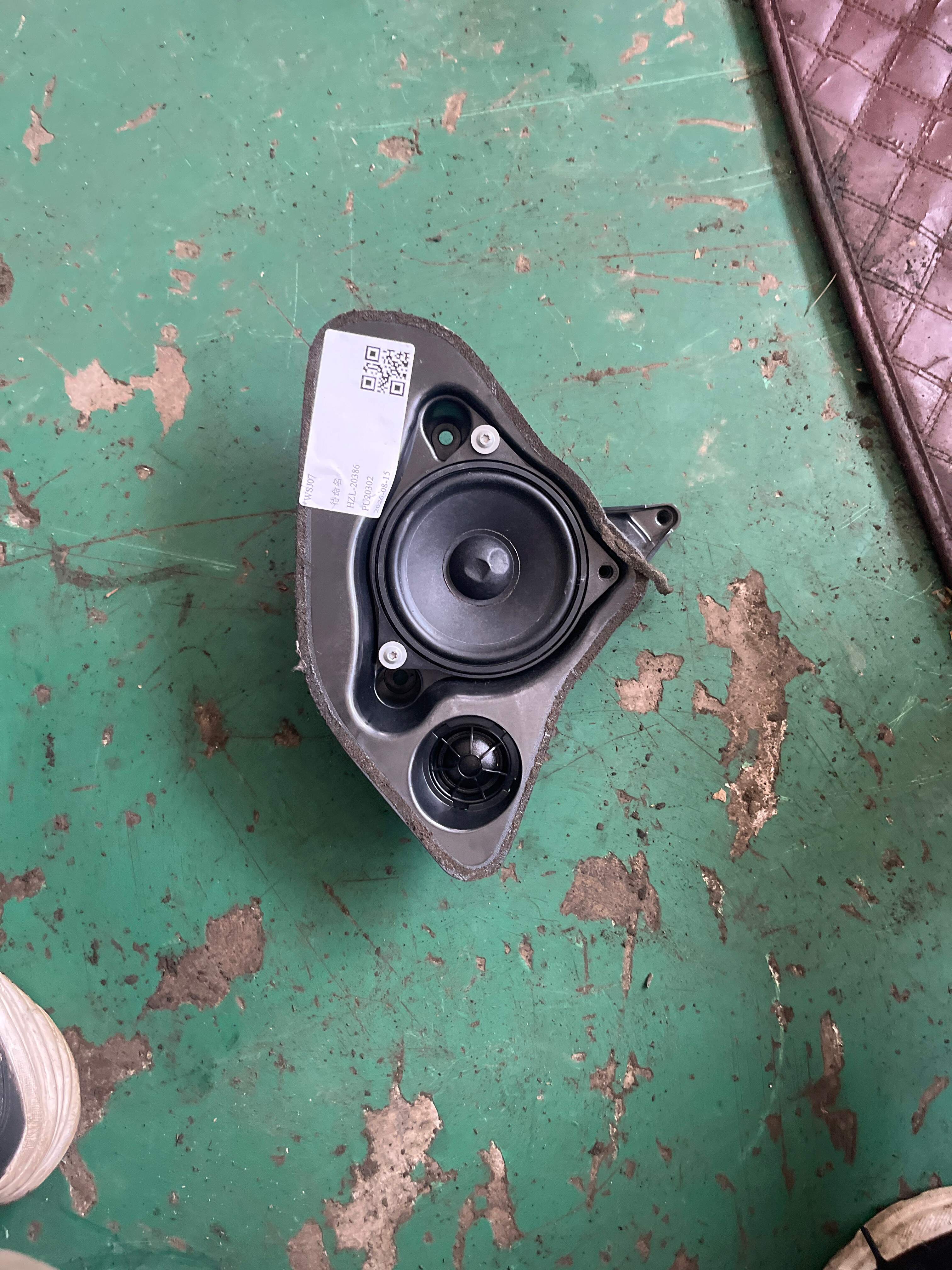 65139837732 侧围扬声器(右)