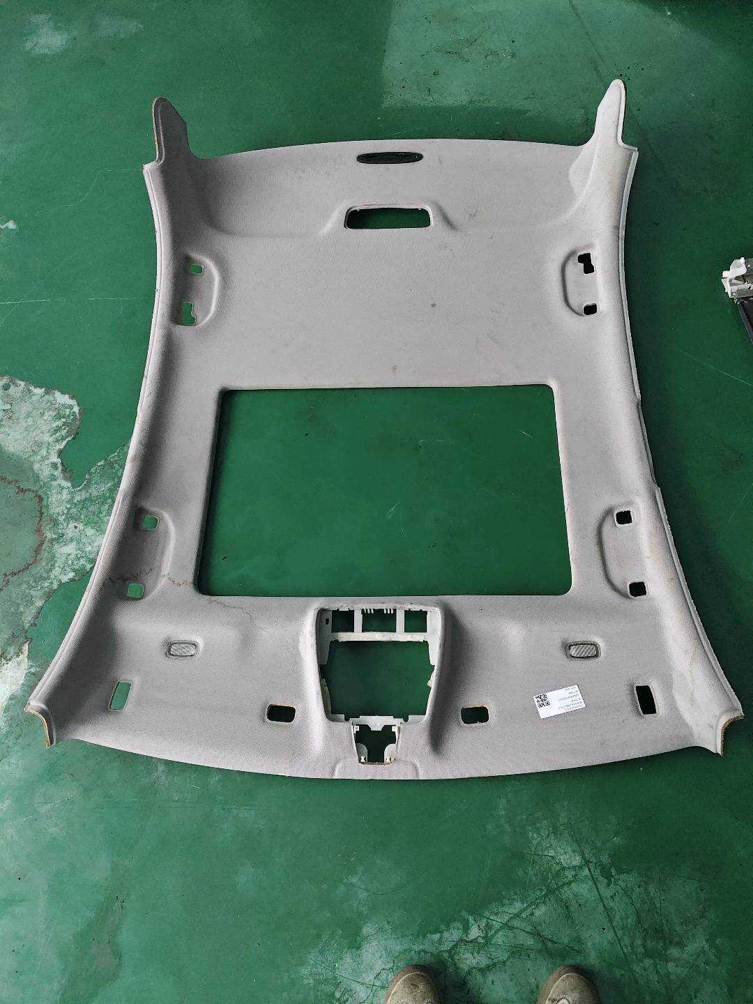 A20469066507K25 Roof Headliner