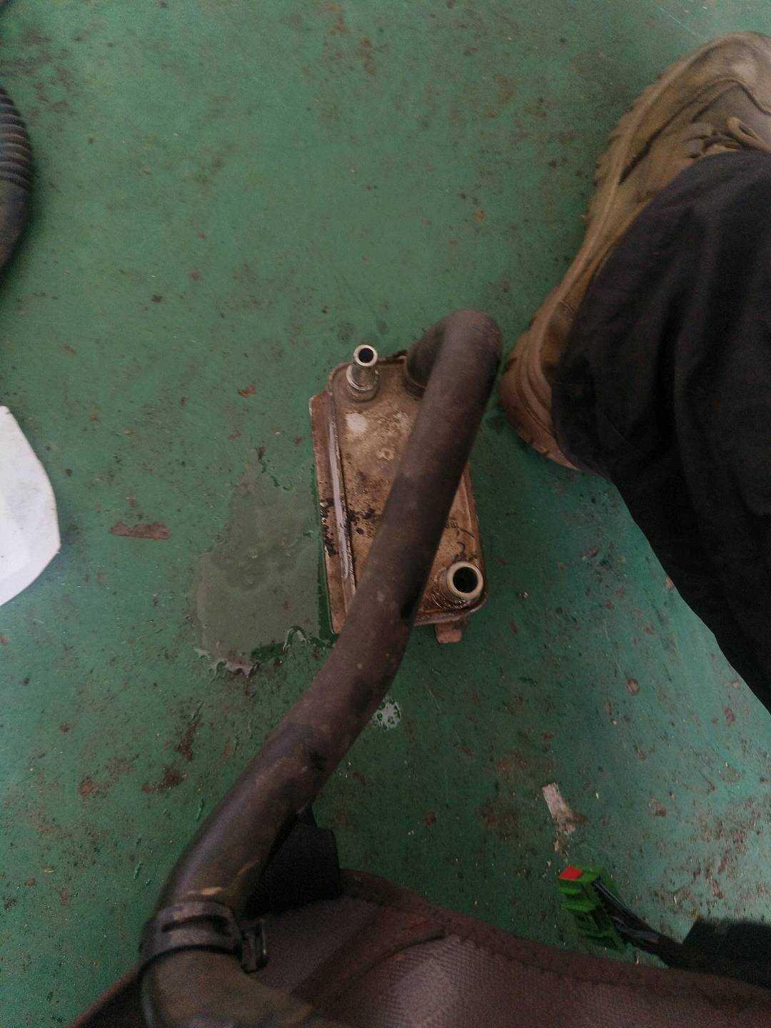 T4A13689 变速器油冷却器软管
