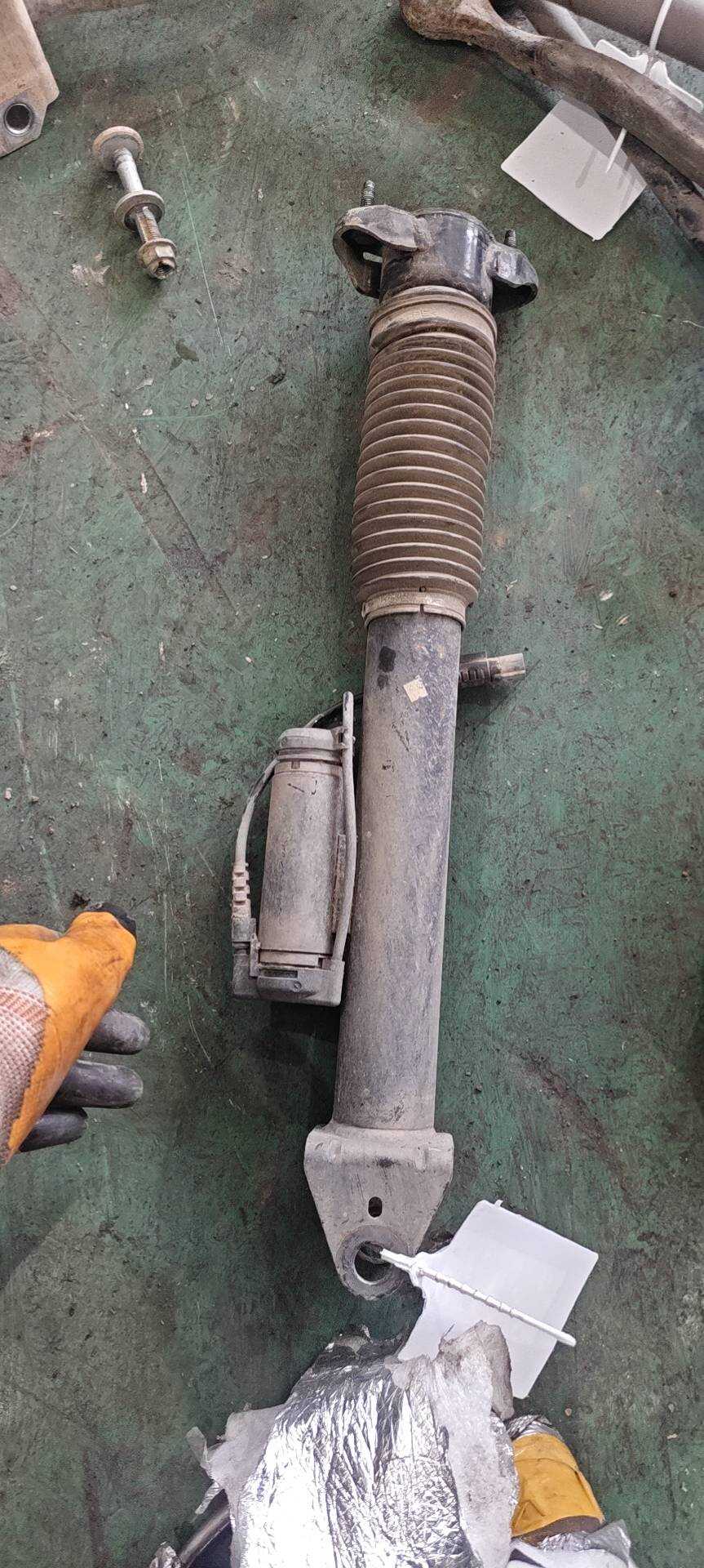 A1663200930 Rear Shock Absorber Assembly, Left