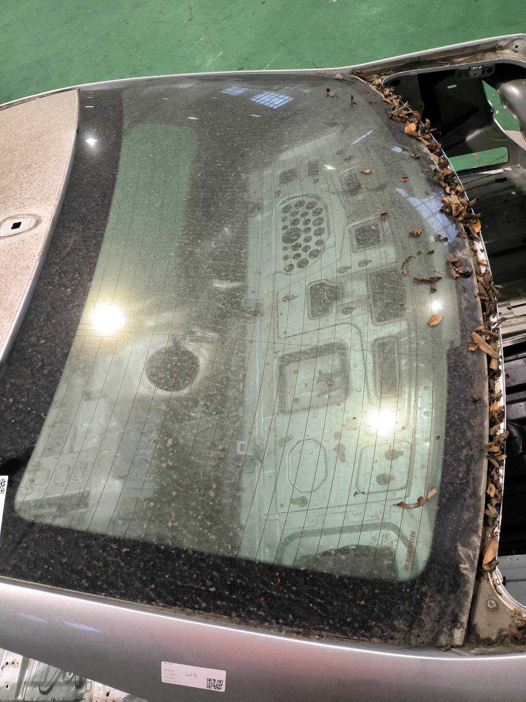 A2046701700 Rear Windshield Glass