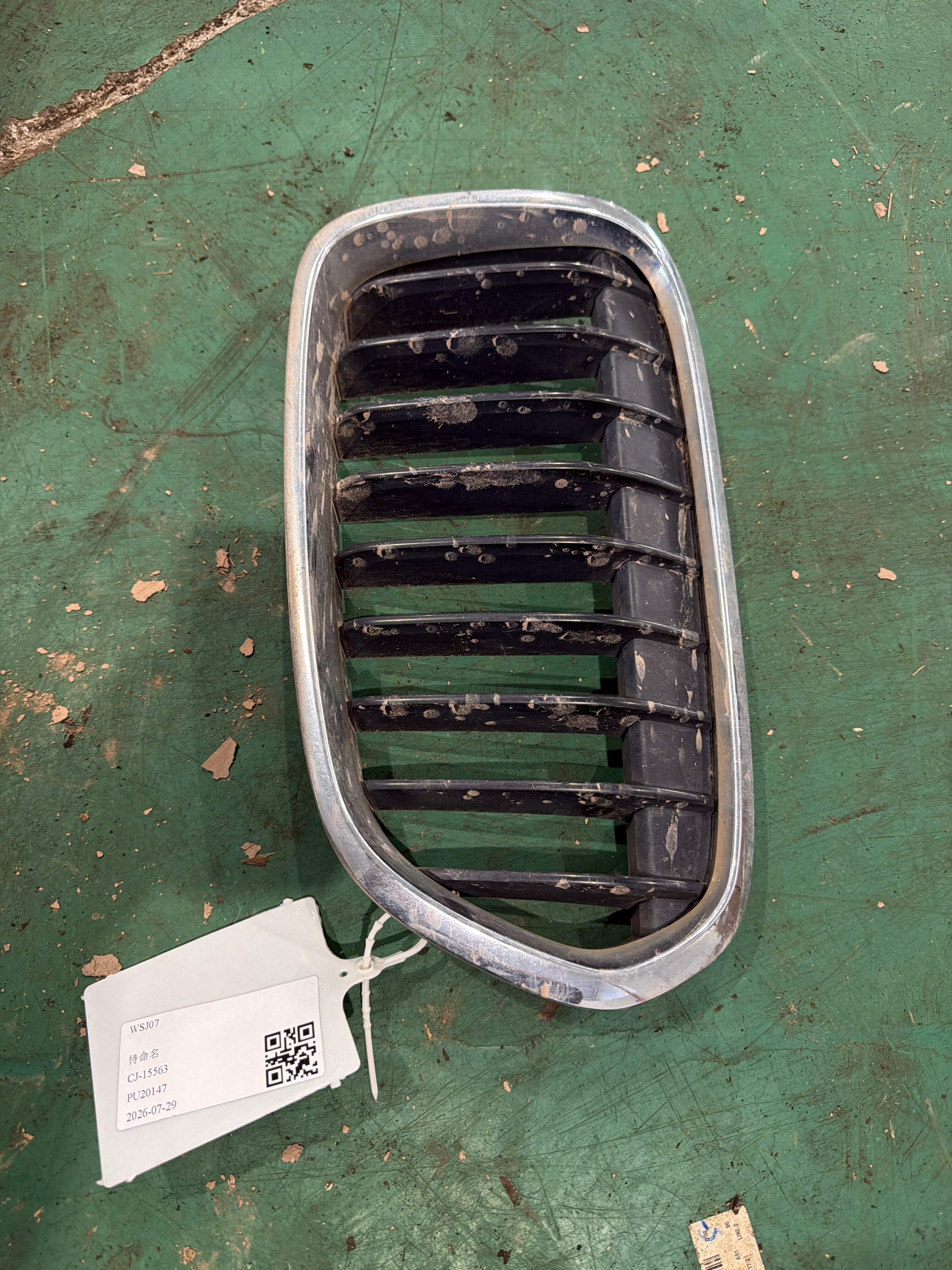 51137389849 Front Grille, Left