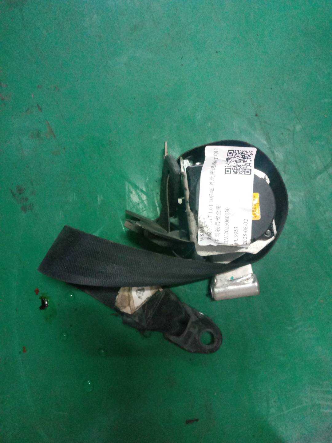 30079654 Driver Seat Belt