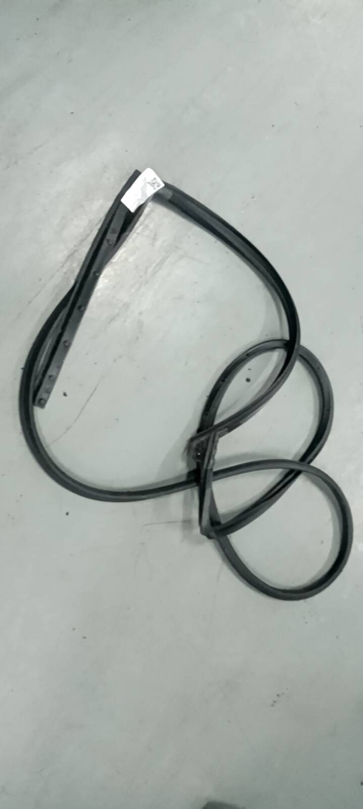 10229840 Rear Door Seal Strip, Right
