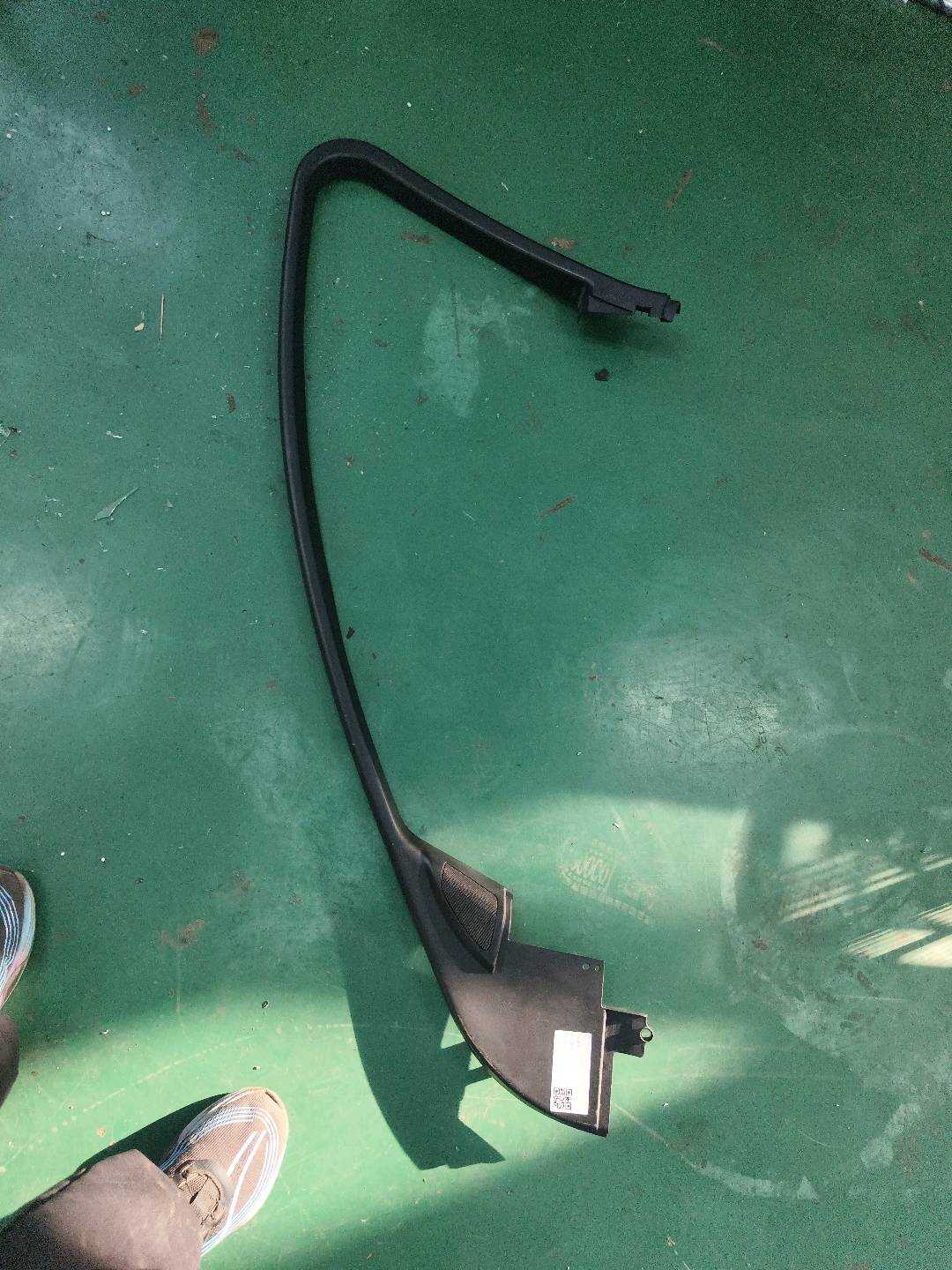 C2Z5925 Front Door Window Frame Trim (Right Inner)