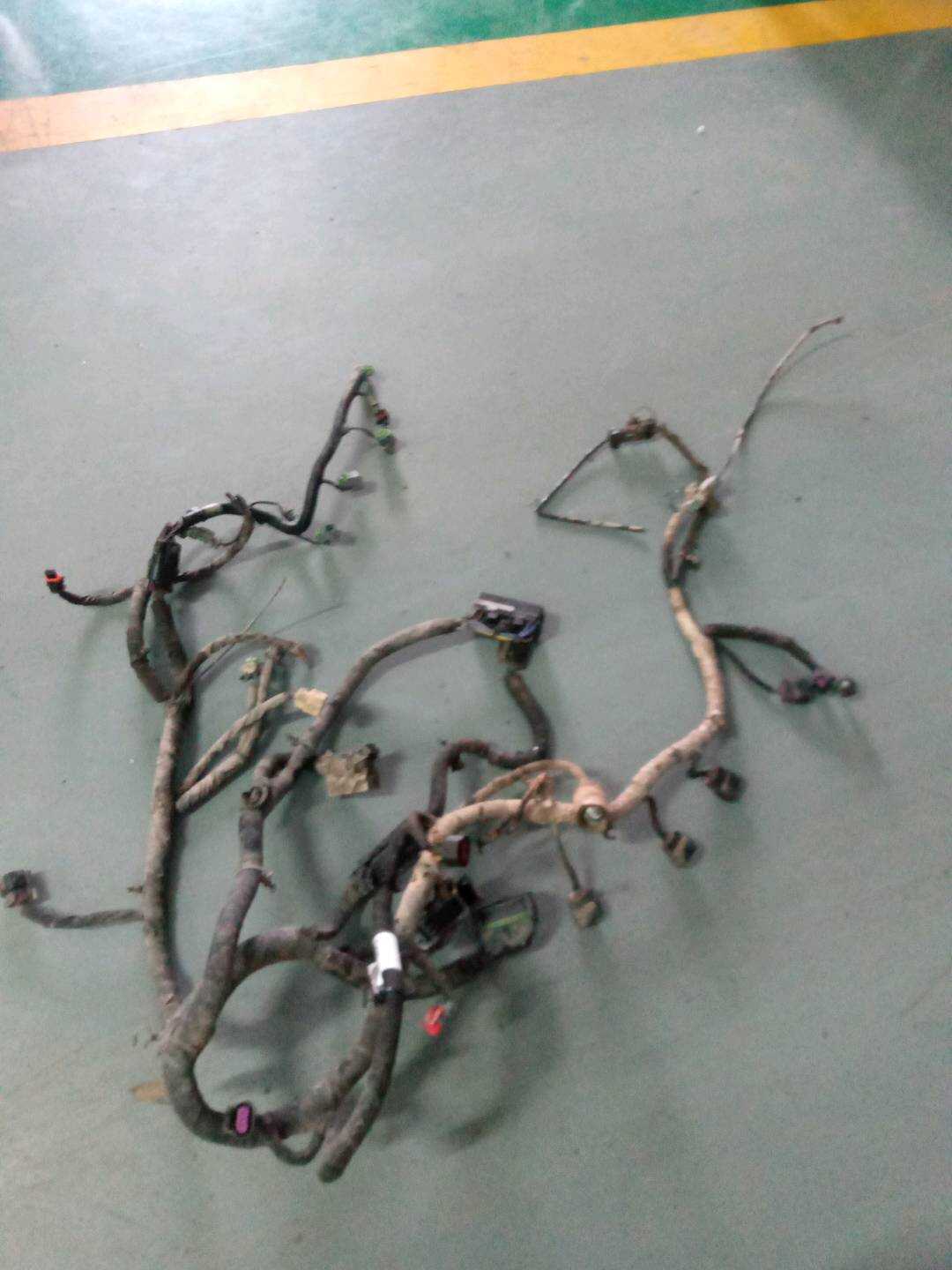 24103168 Engine Wiring Harness