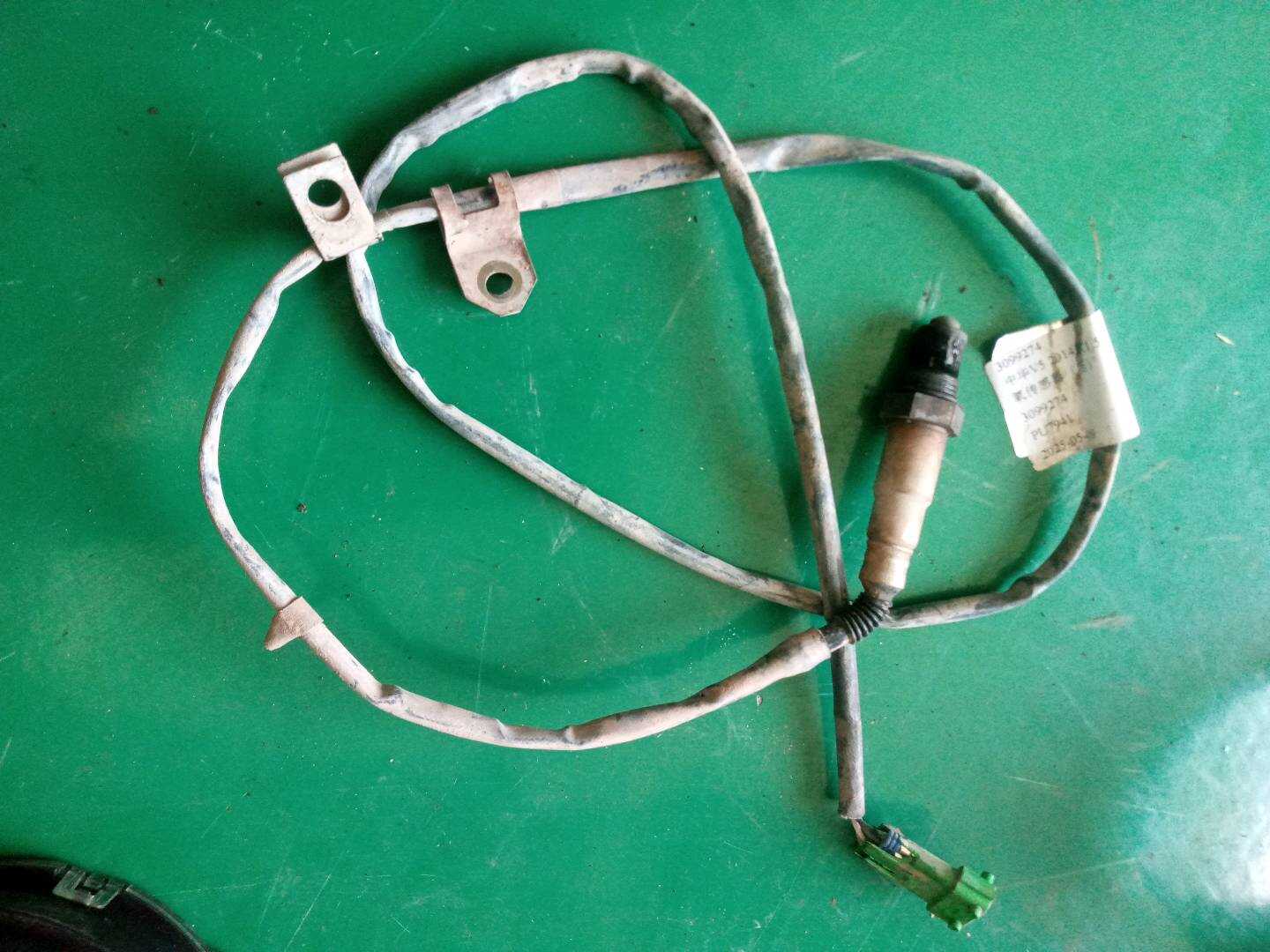 3099274 Oxygen Sensor, Rear
