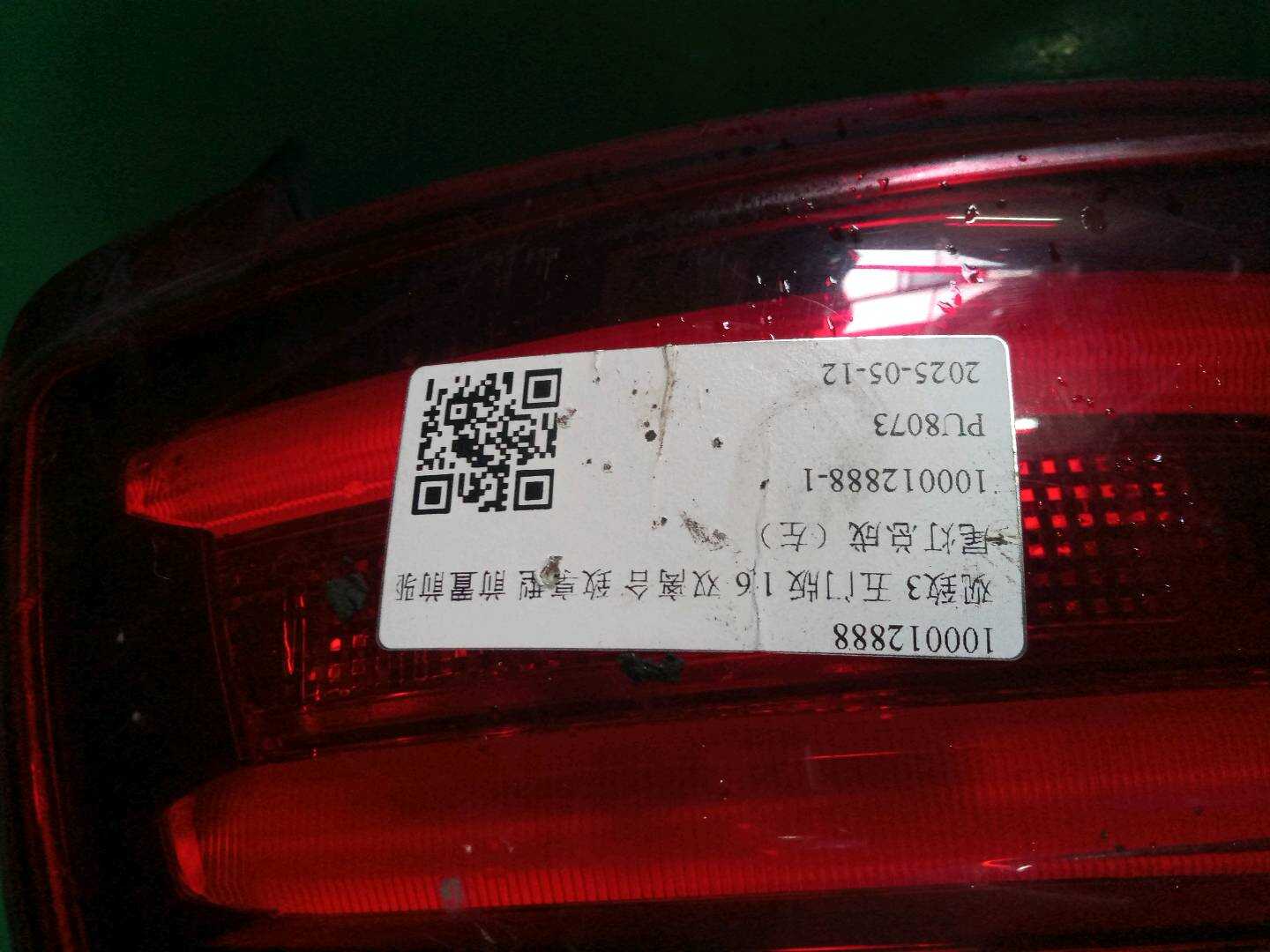 100012888 Tail Light Assembly, Left