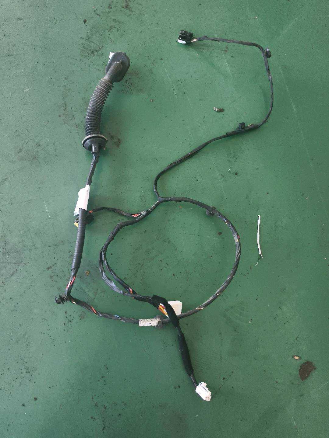 916500U040 Rear Door Wiring Harness, Left