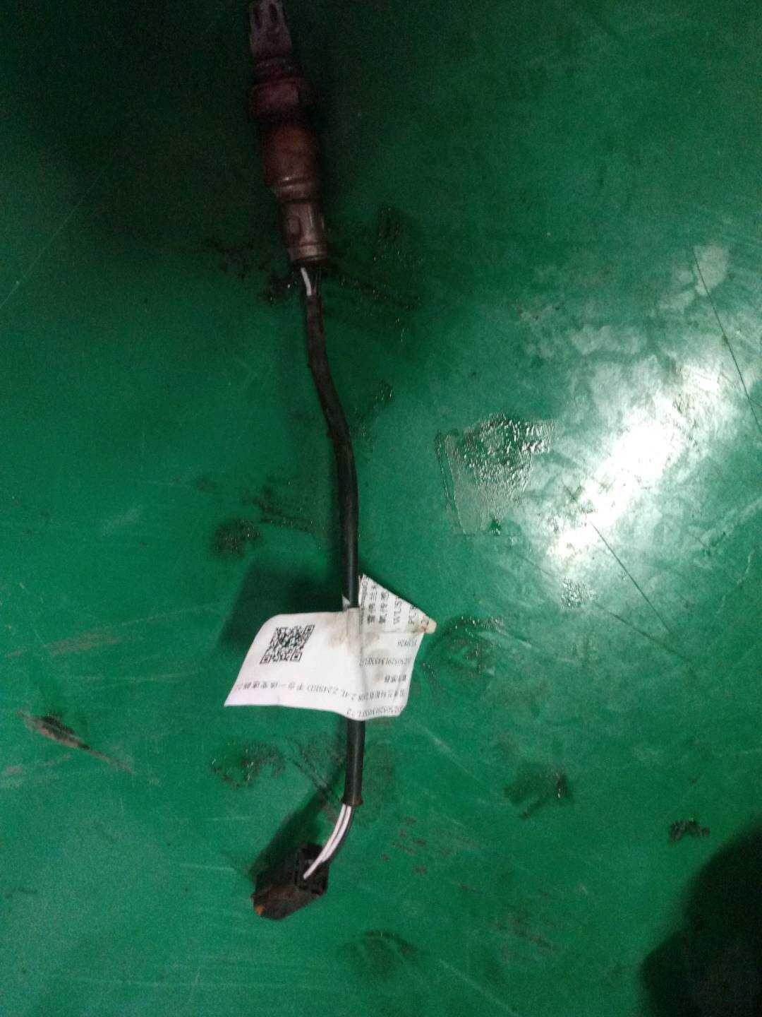 202505291345XFL72 氧传感器