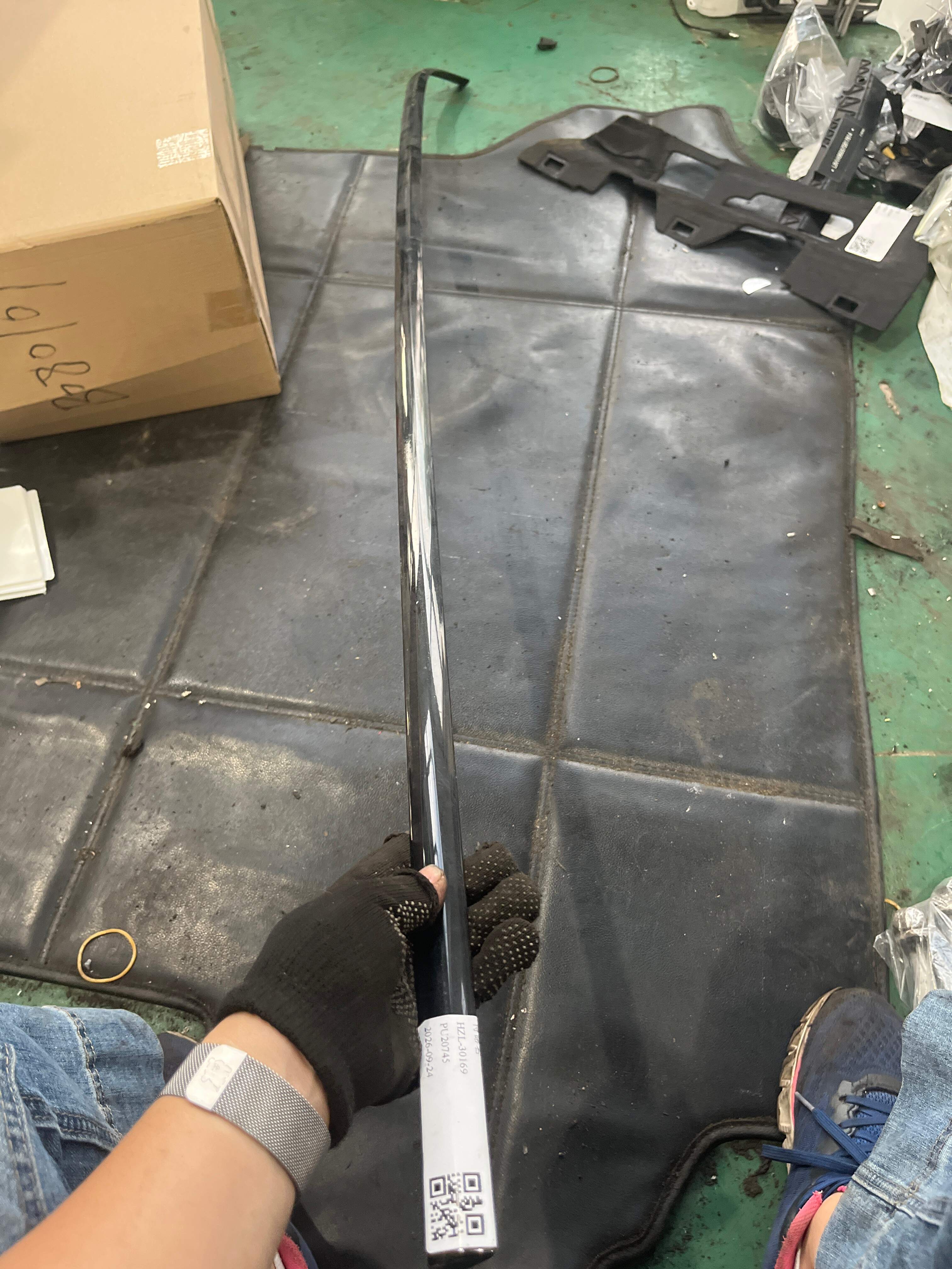 LR035339 Molding