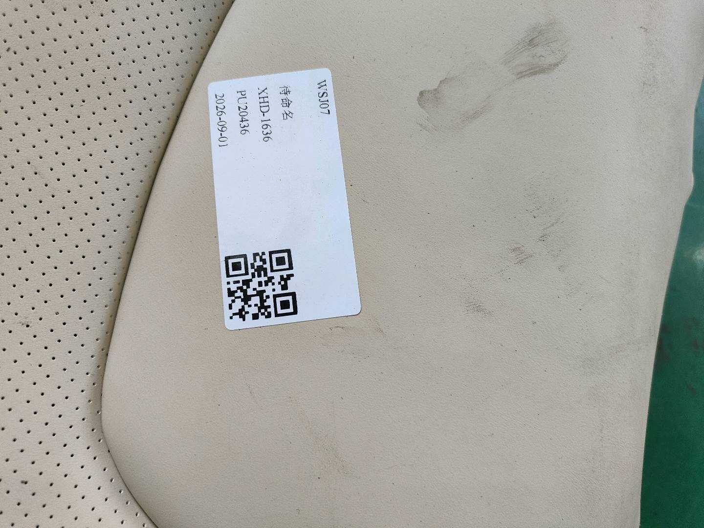 7107348710A1 Passenger Seat Backrest Cover