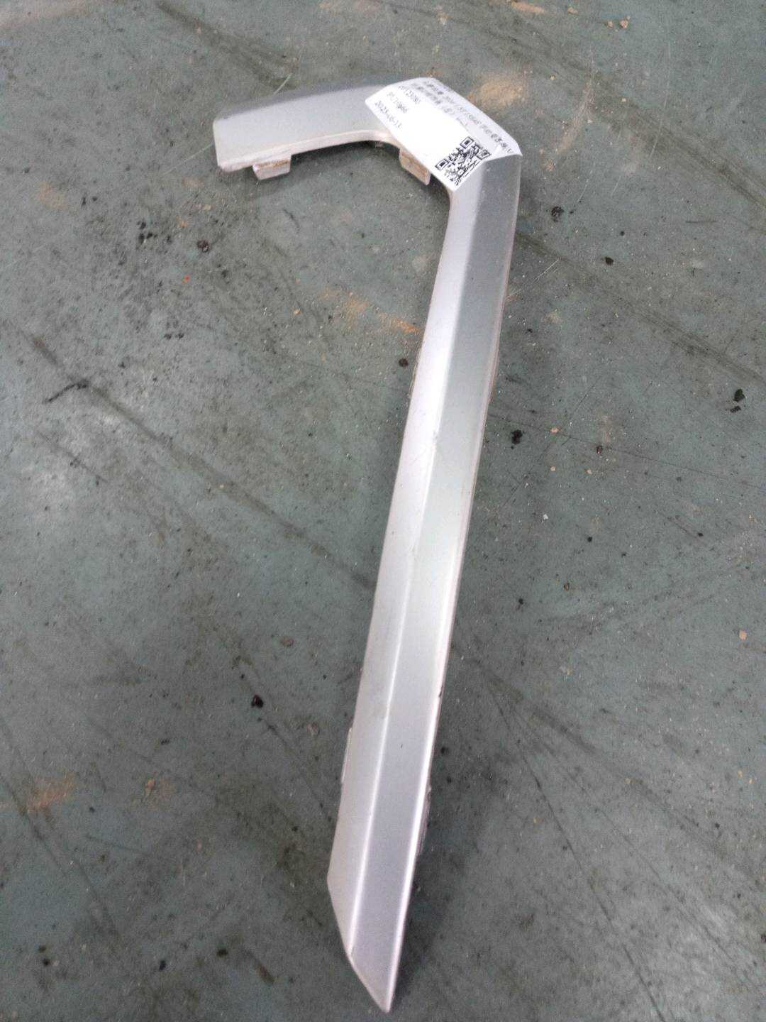10123080 Rear Fog Light Frame Molding, Left