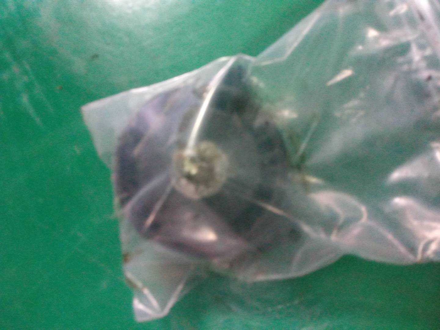 11287545297 发电机皮带惰轮