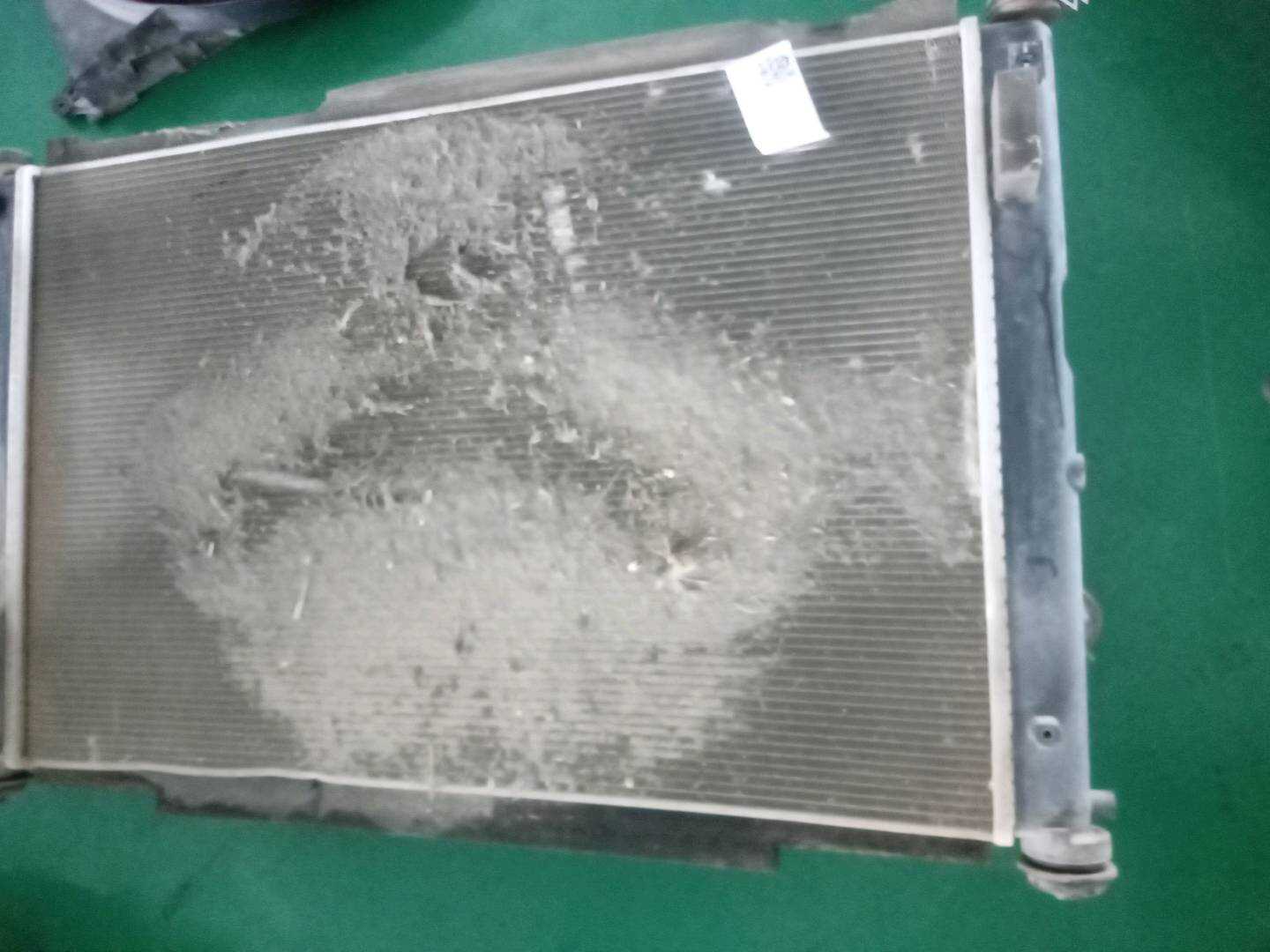 2069016700 Radiator