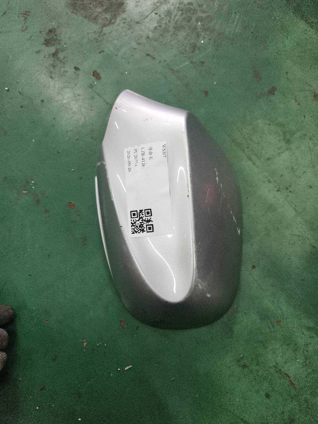 51167229261 Side Mirror Housing, Left