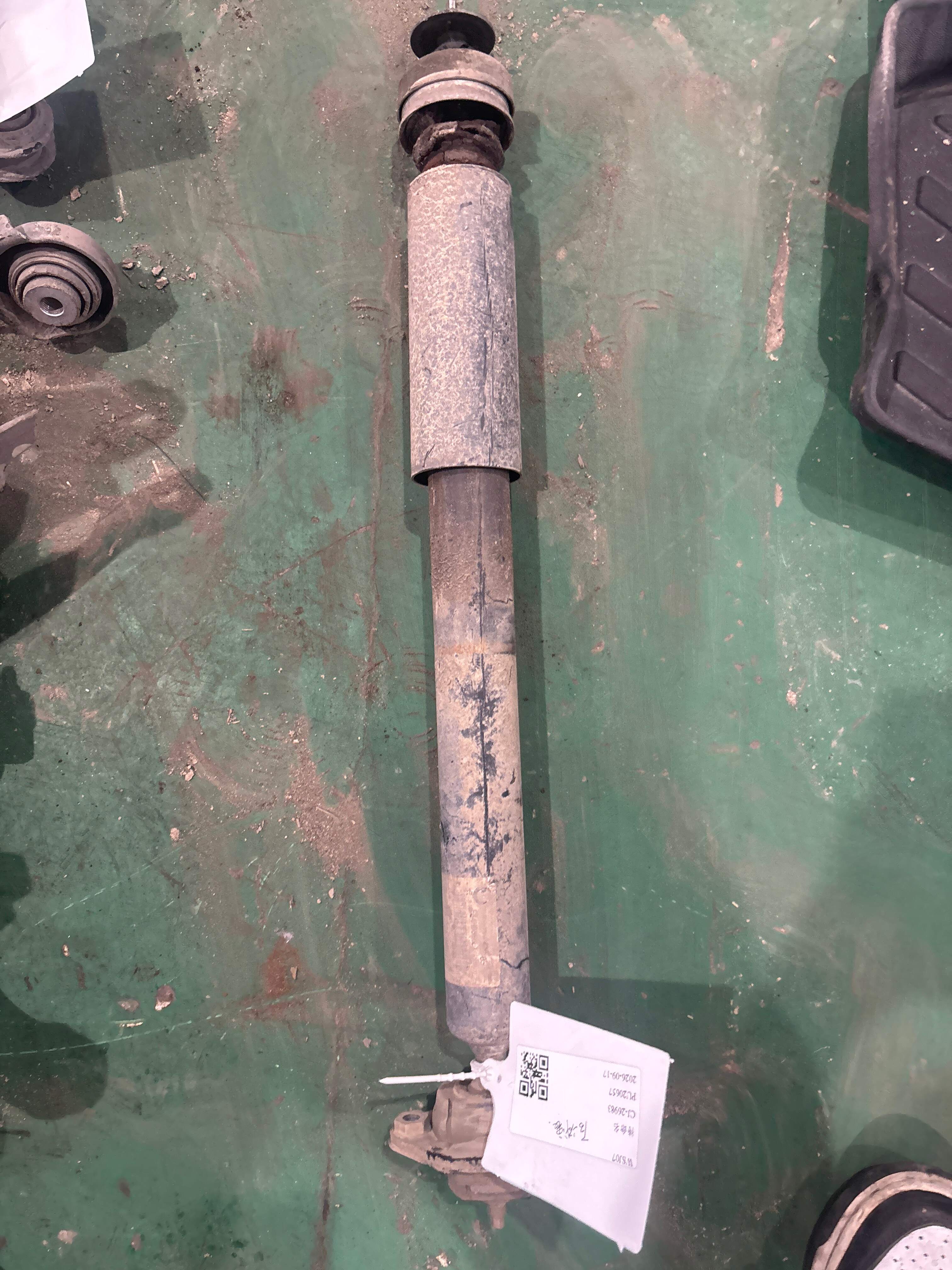 33526855243 后减震器芯