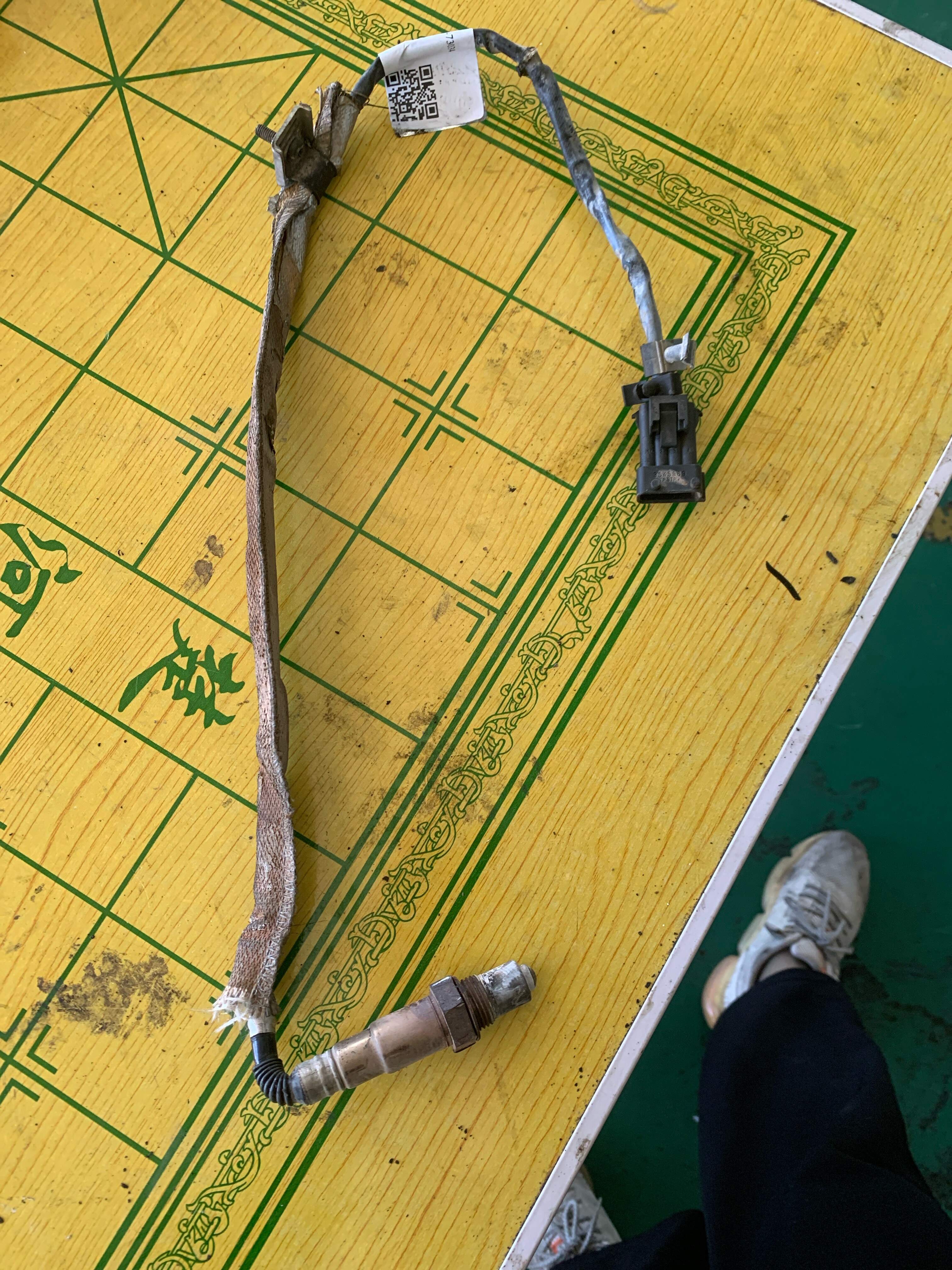 9487146 Oxygen Sensor, Rear
