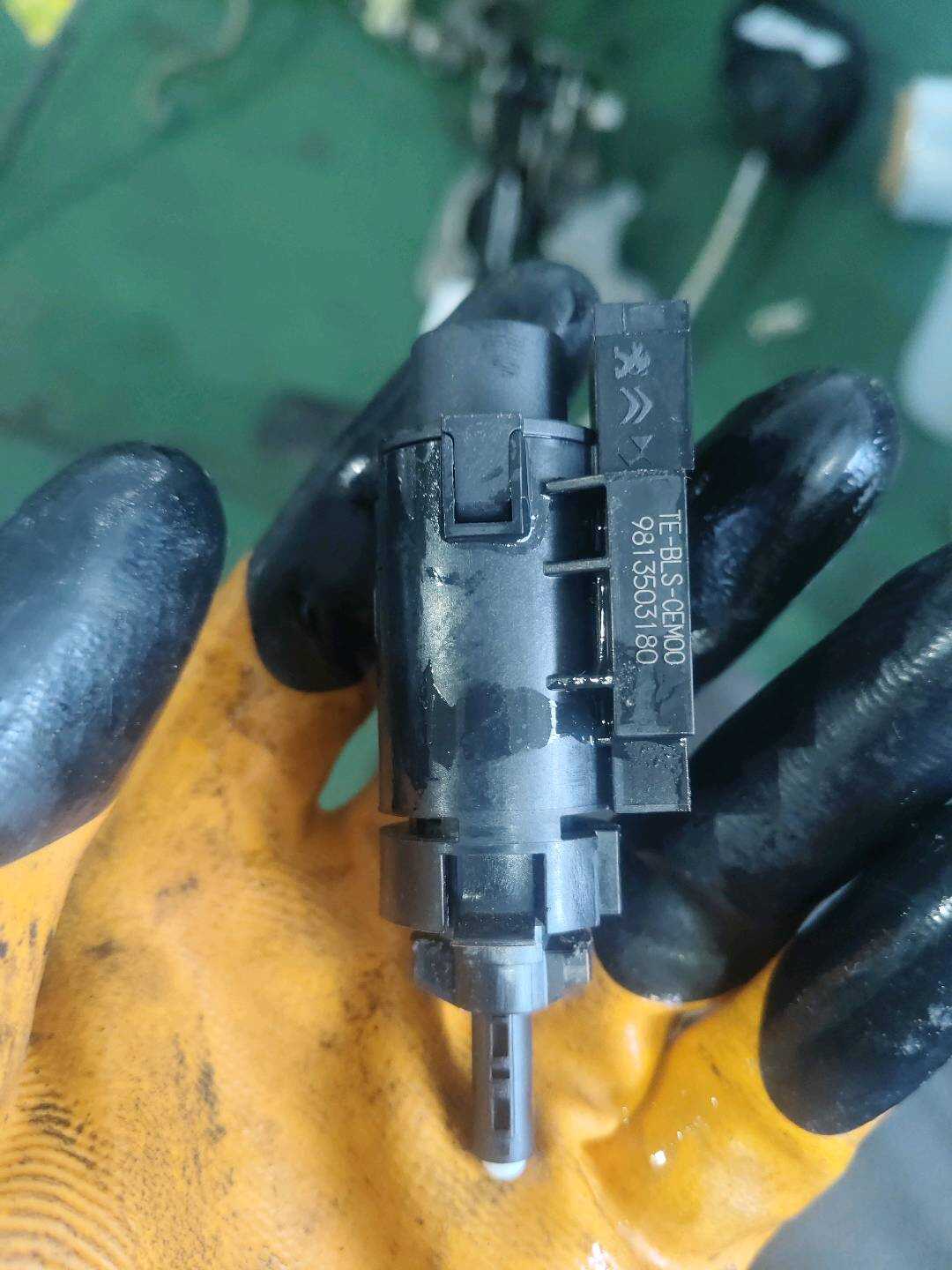 B028556 Brake Light Switch