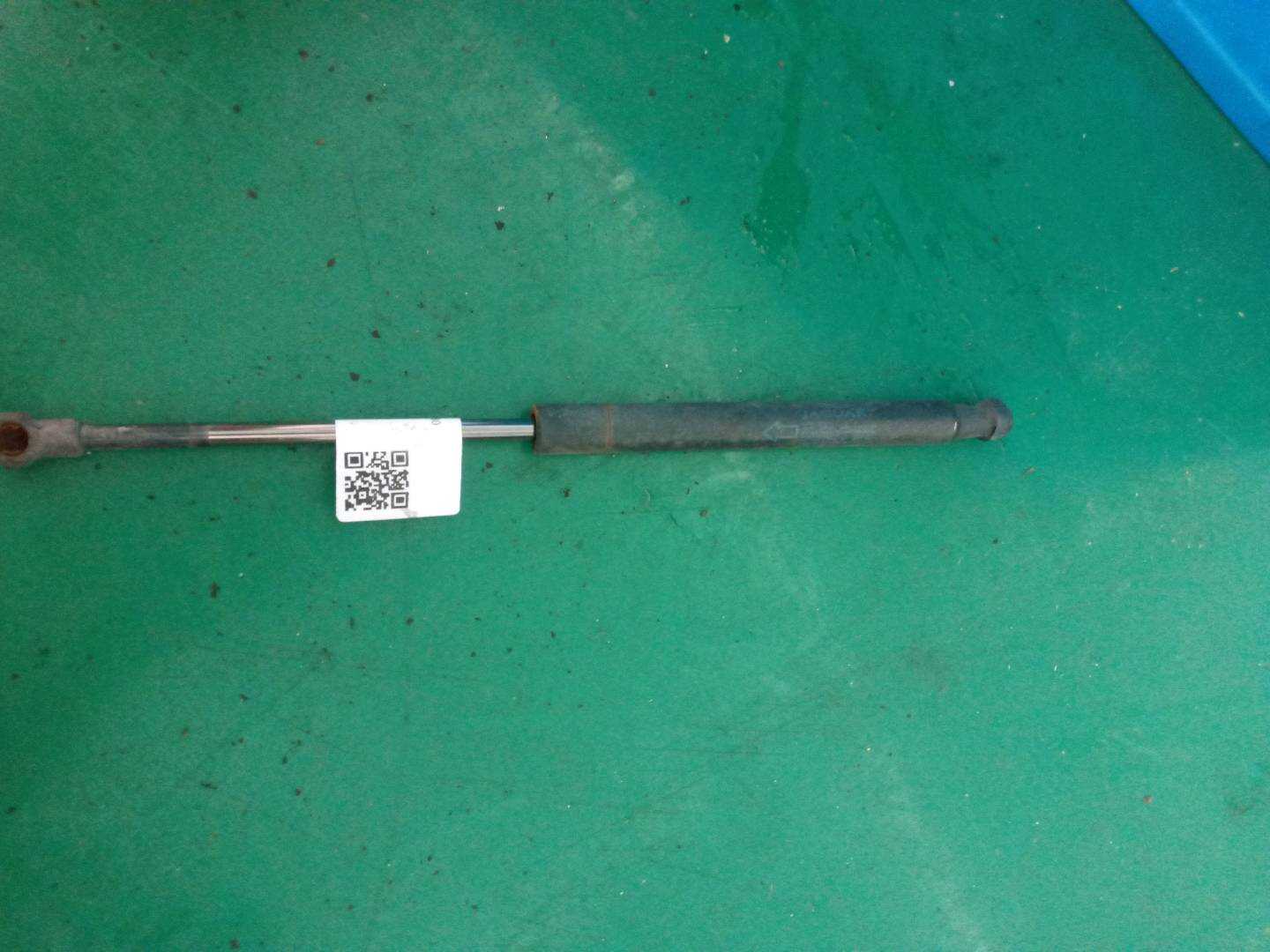 C2Z2615 Trunk Lid Strut, Right