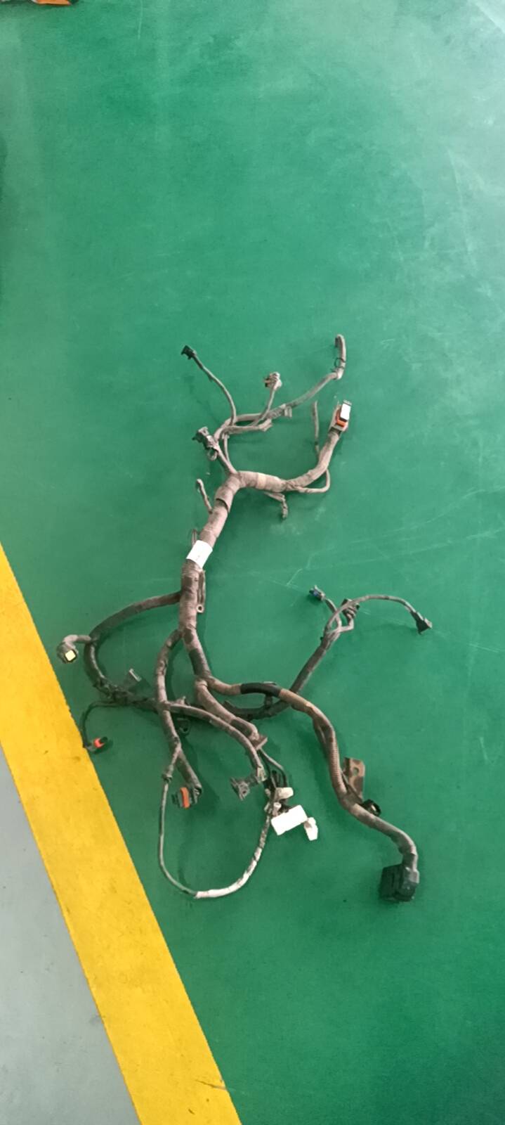 9033529 Engine Wiring Harness