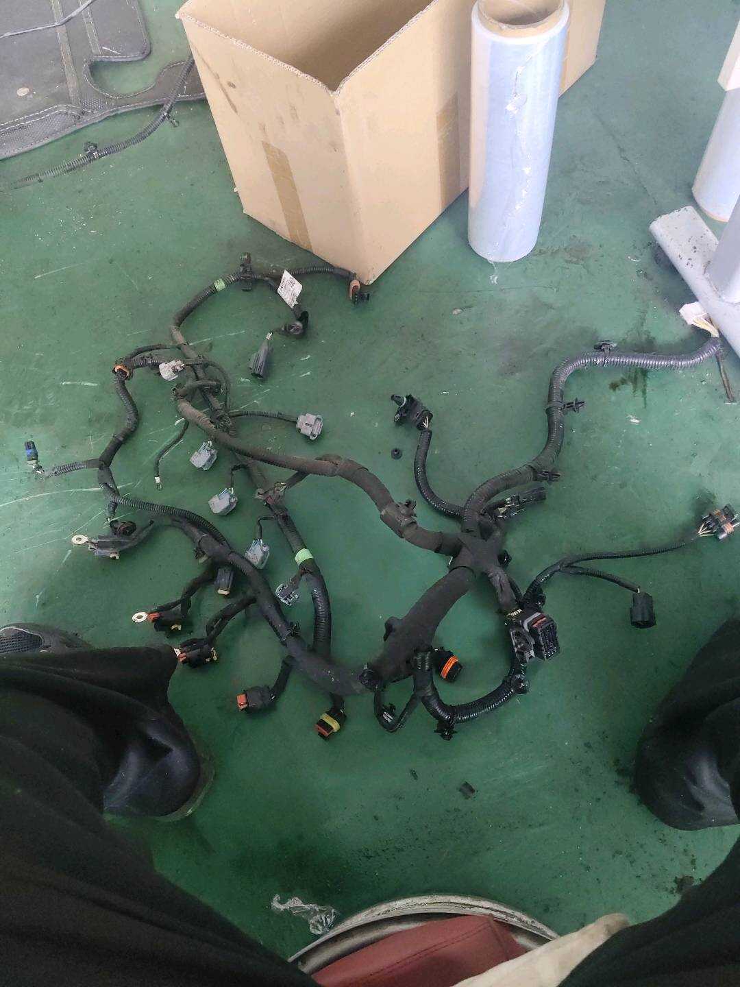 B012285 Engine Wiring Harness