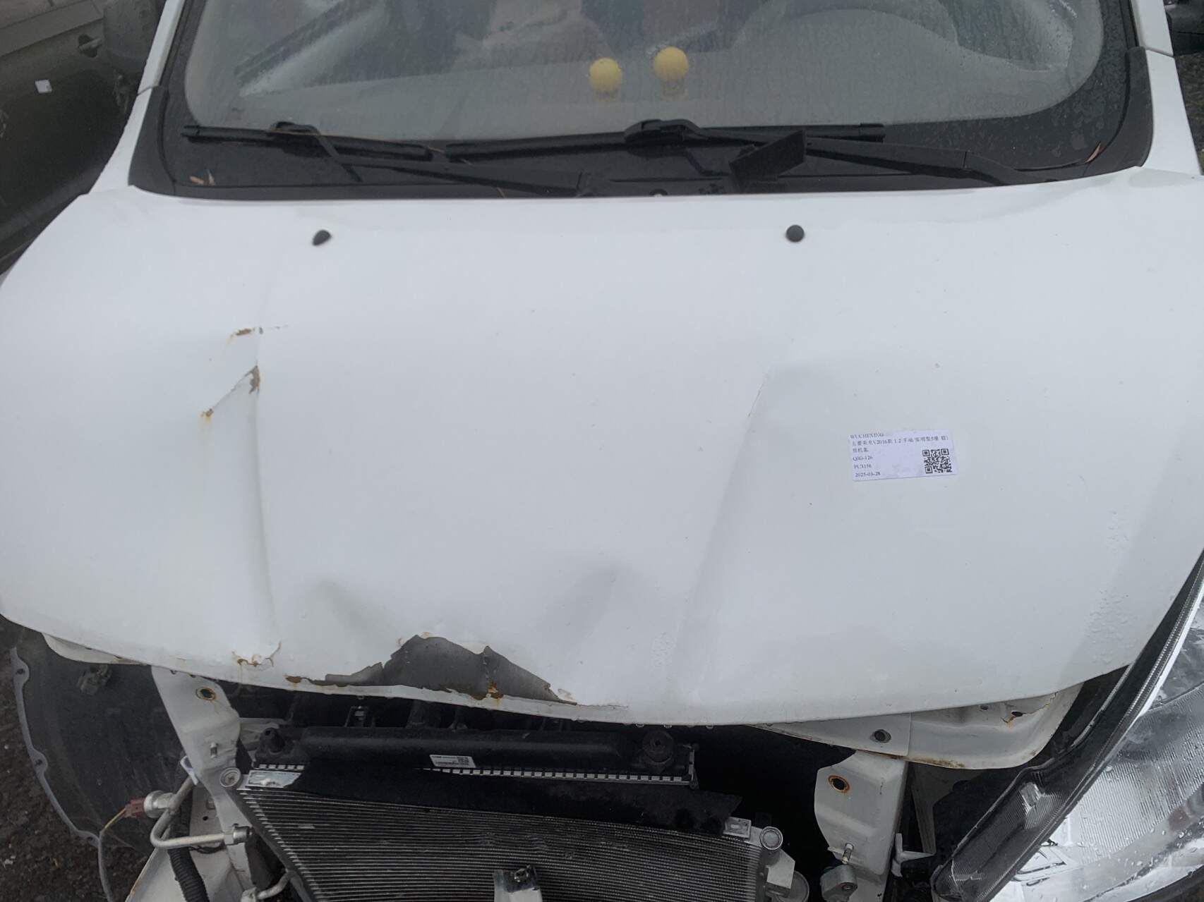 23972489P Front Hood Assembly
