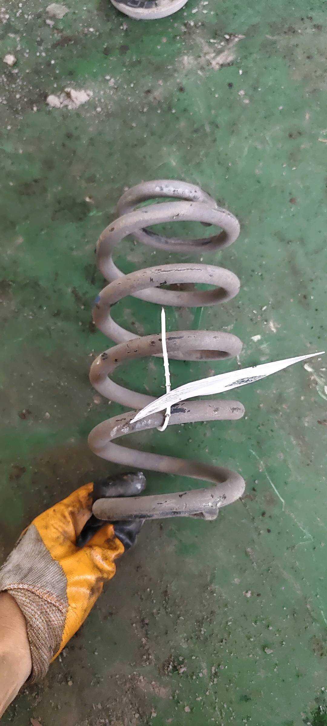4823176010 Rear Shock Absorber Coil Spring, Left