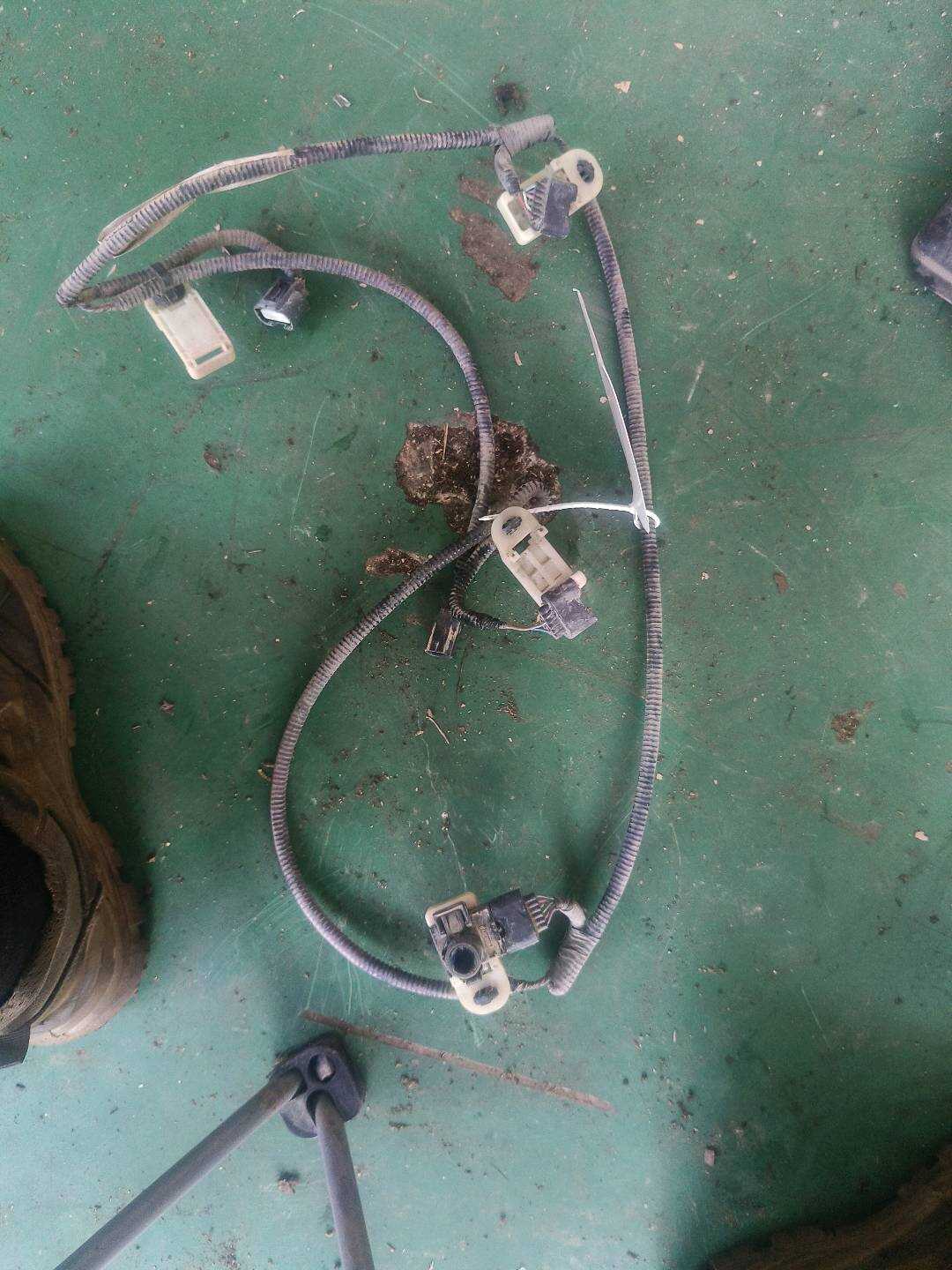 32131TL0G00 后保险杠电眼线束