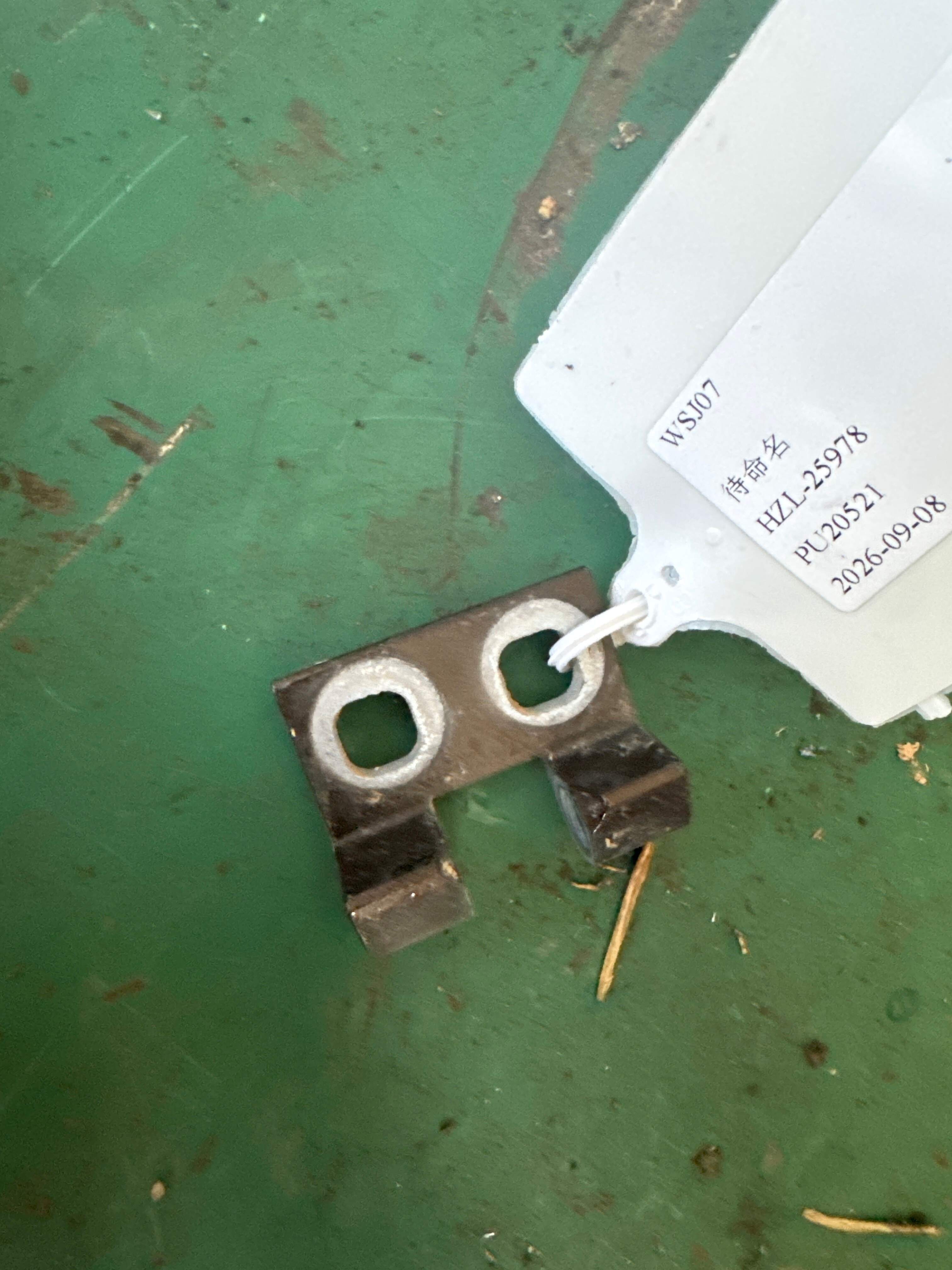 41522993113 Rear Door Hinge (Lower Left)