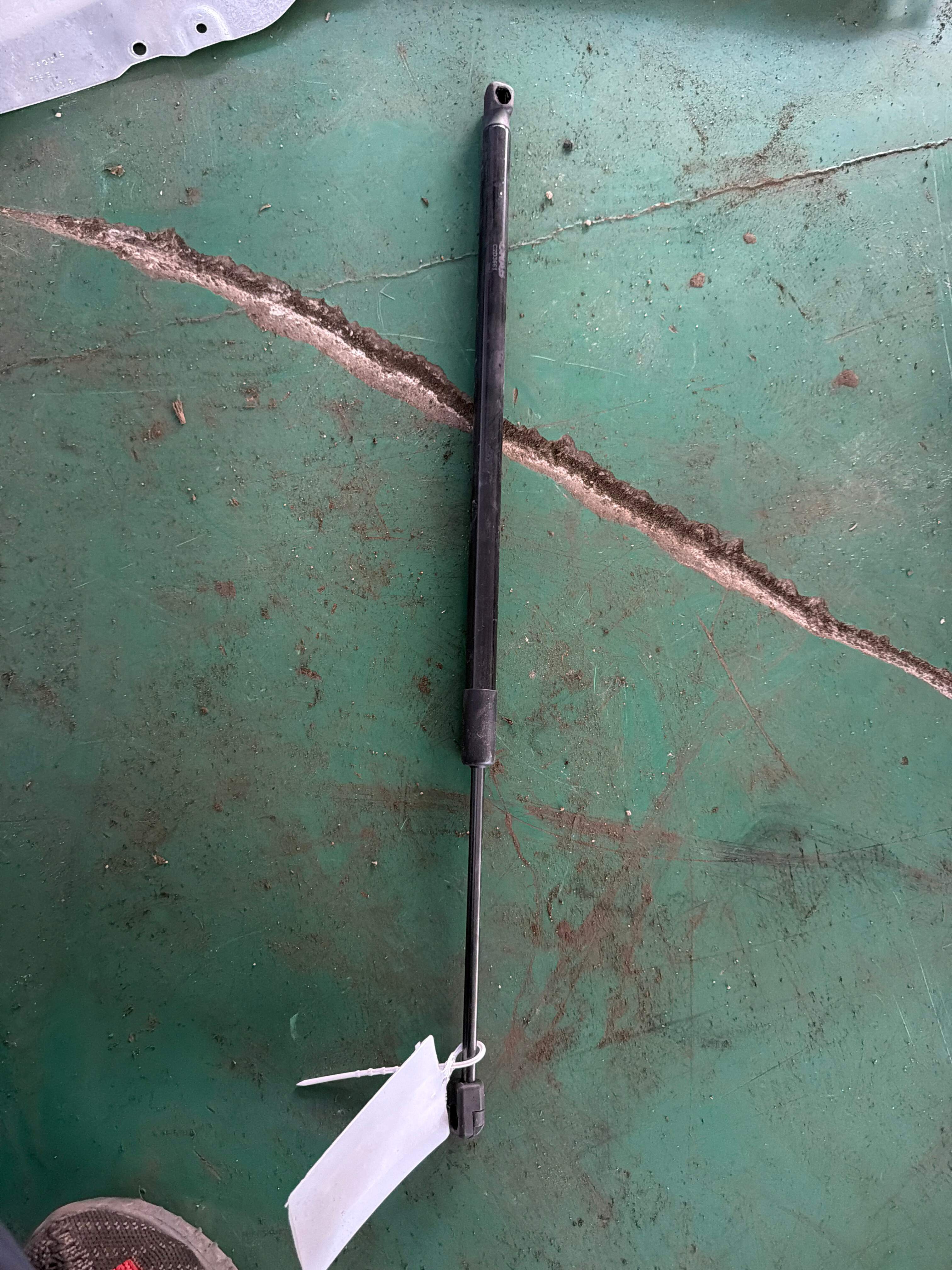 C2D3661 Front Hood Strut, Left