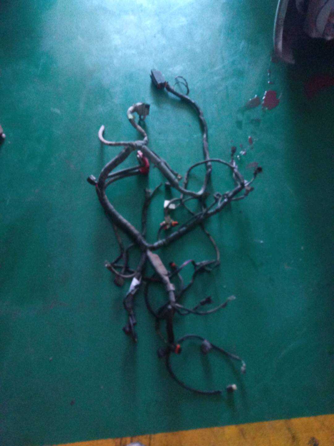4572082 Engine Wiring Harness
