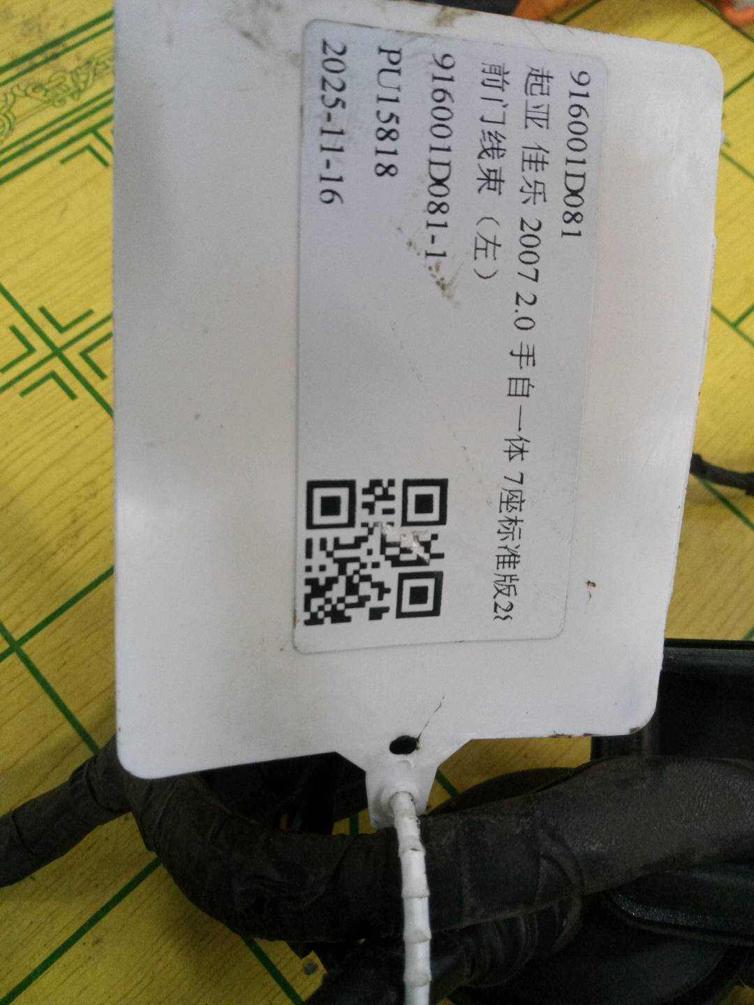 916001D081 前门线束（左）