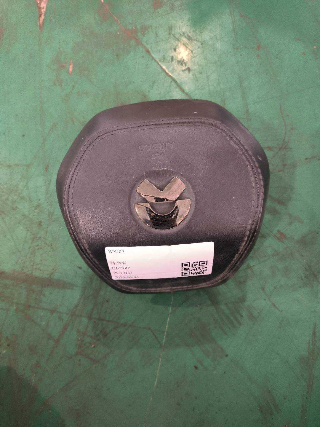 P0075248 Driver Airbag Assembly