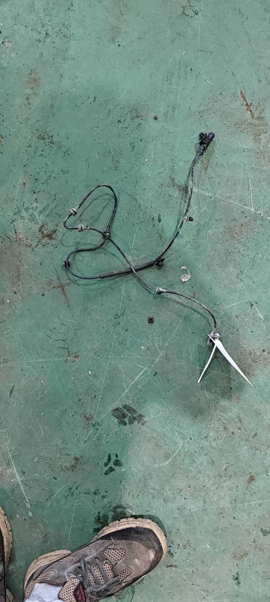 1014029431 Wheel Speed Sensor