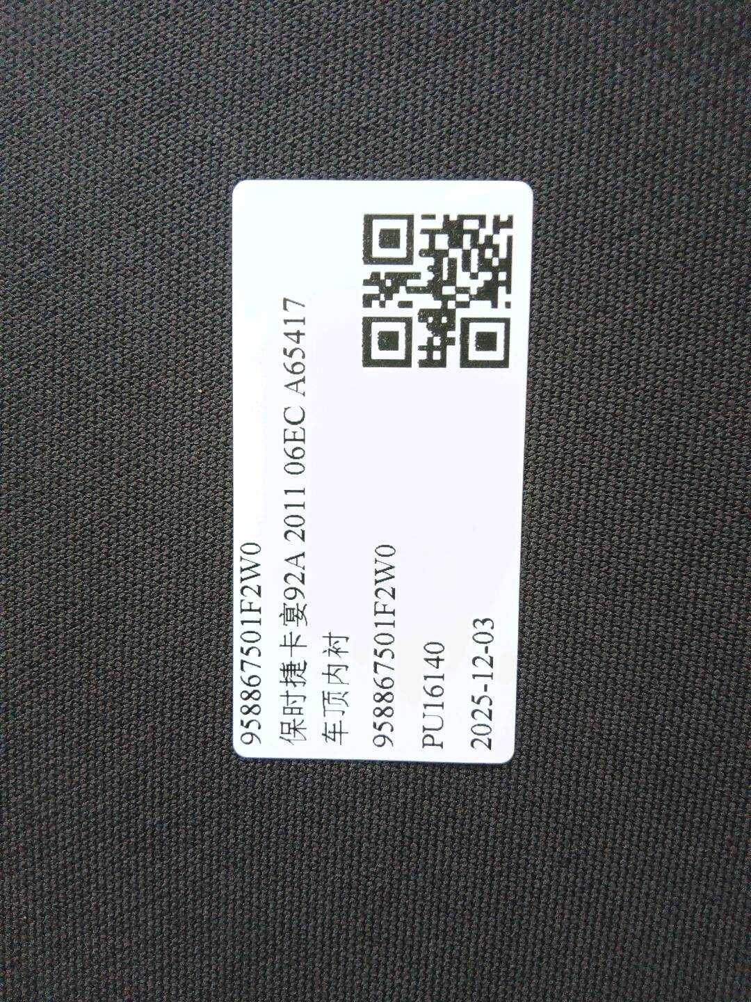 958867501F2W0 Roof Headliner