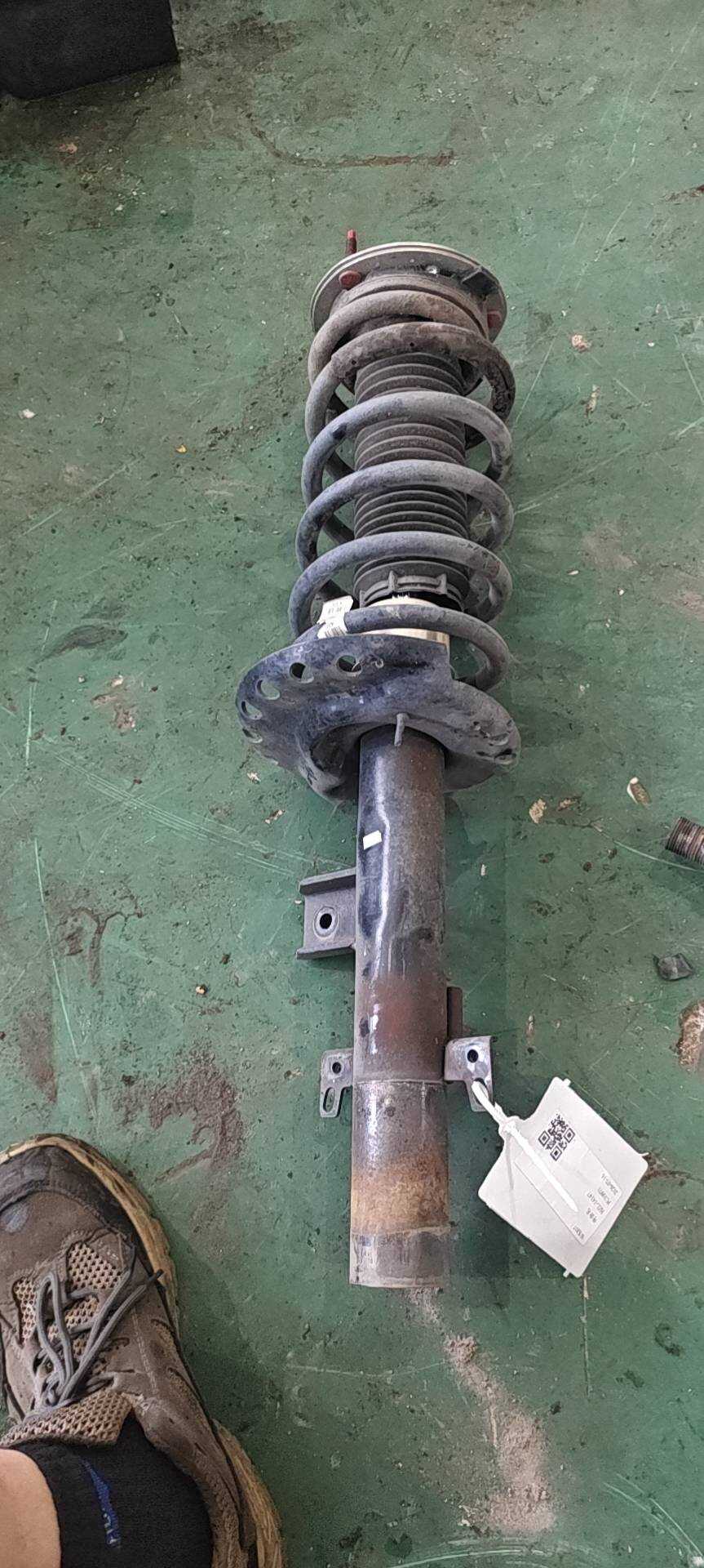 LR039916 Rear Shock Absorber Assembly, Left