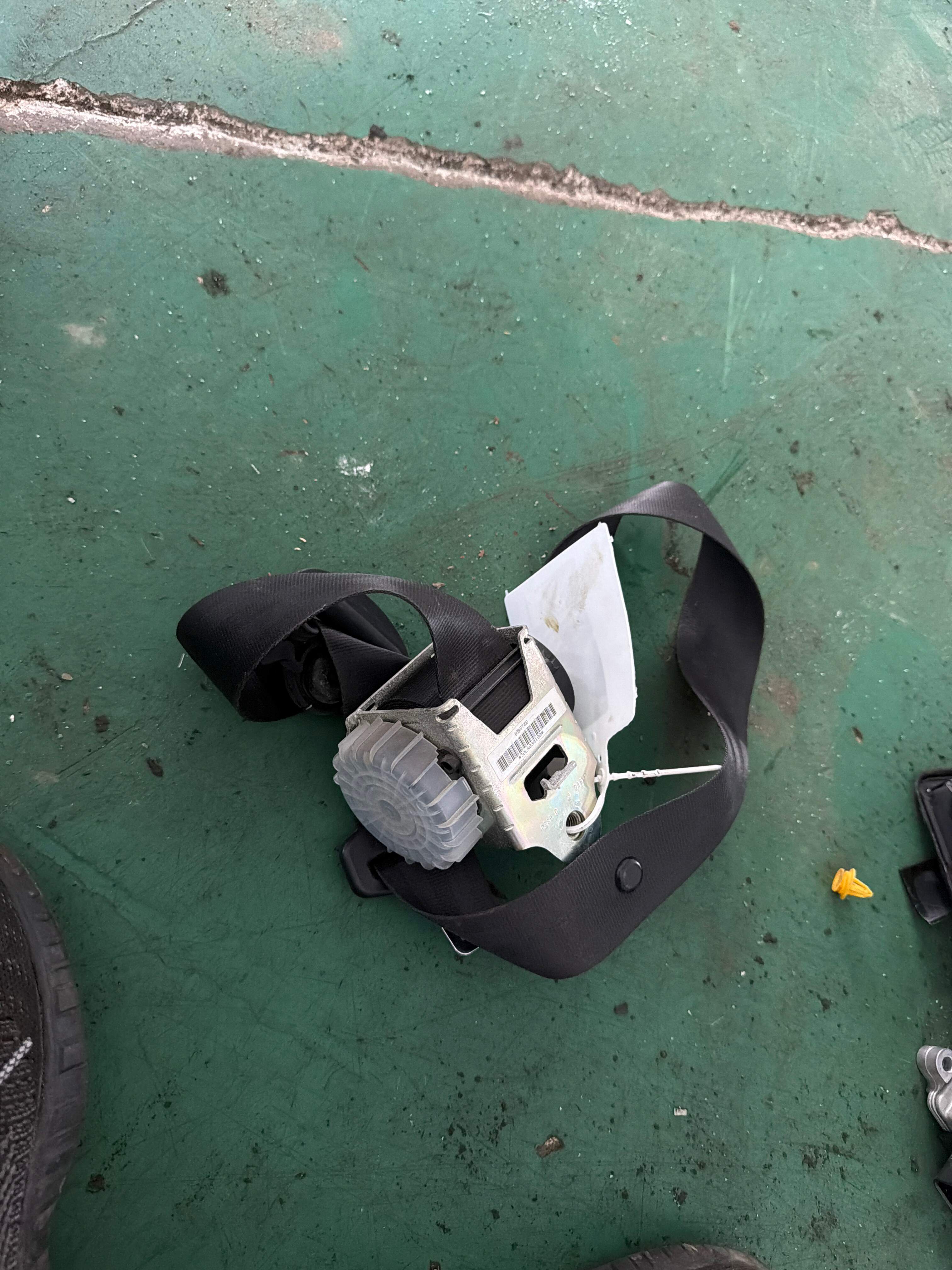 LR009282 Passenger Seat Belt